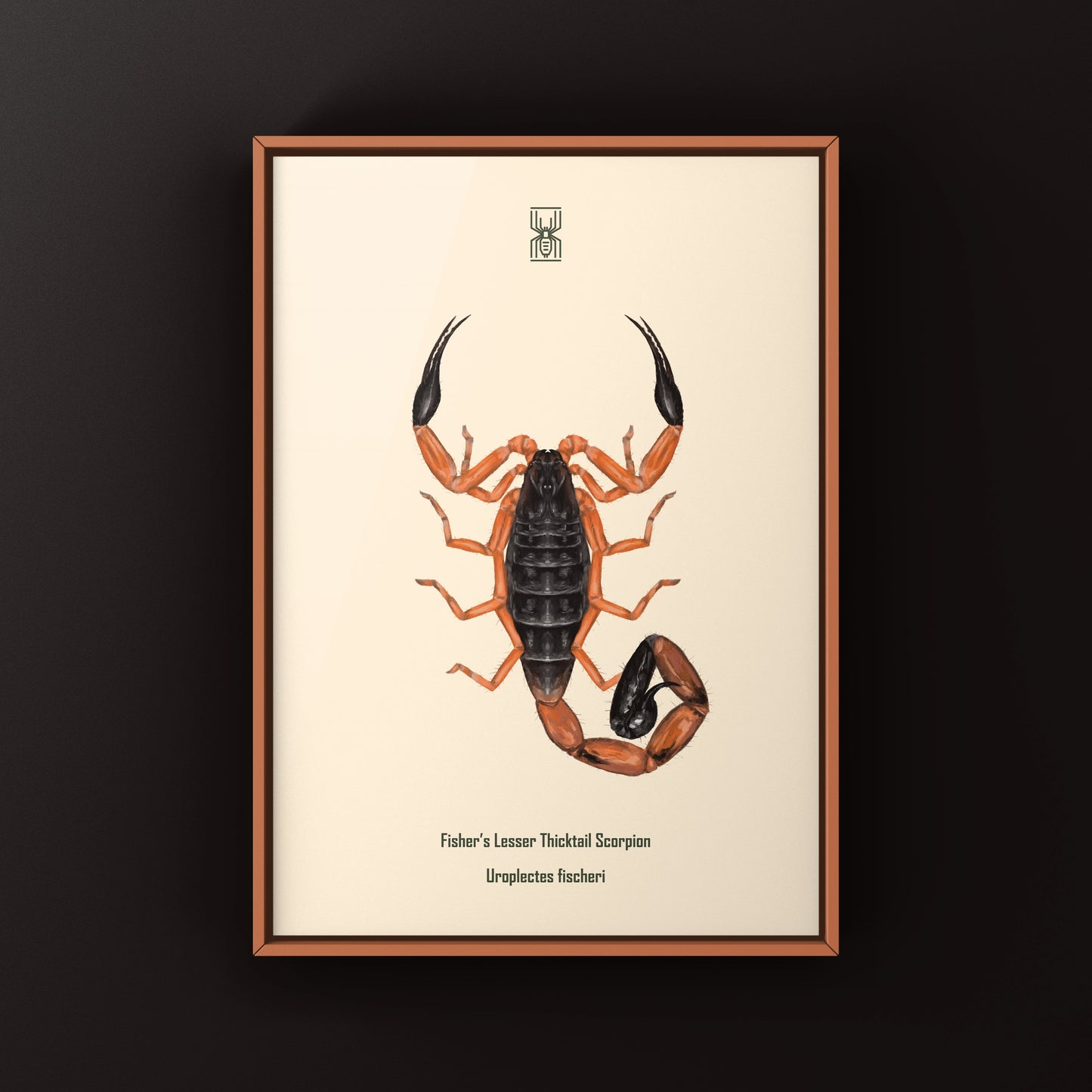 Photographic art print of Fischer's Lesser Thicktail Scorpion (Uroplectes fischeri) showcasing its detailed body and natural habitat.