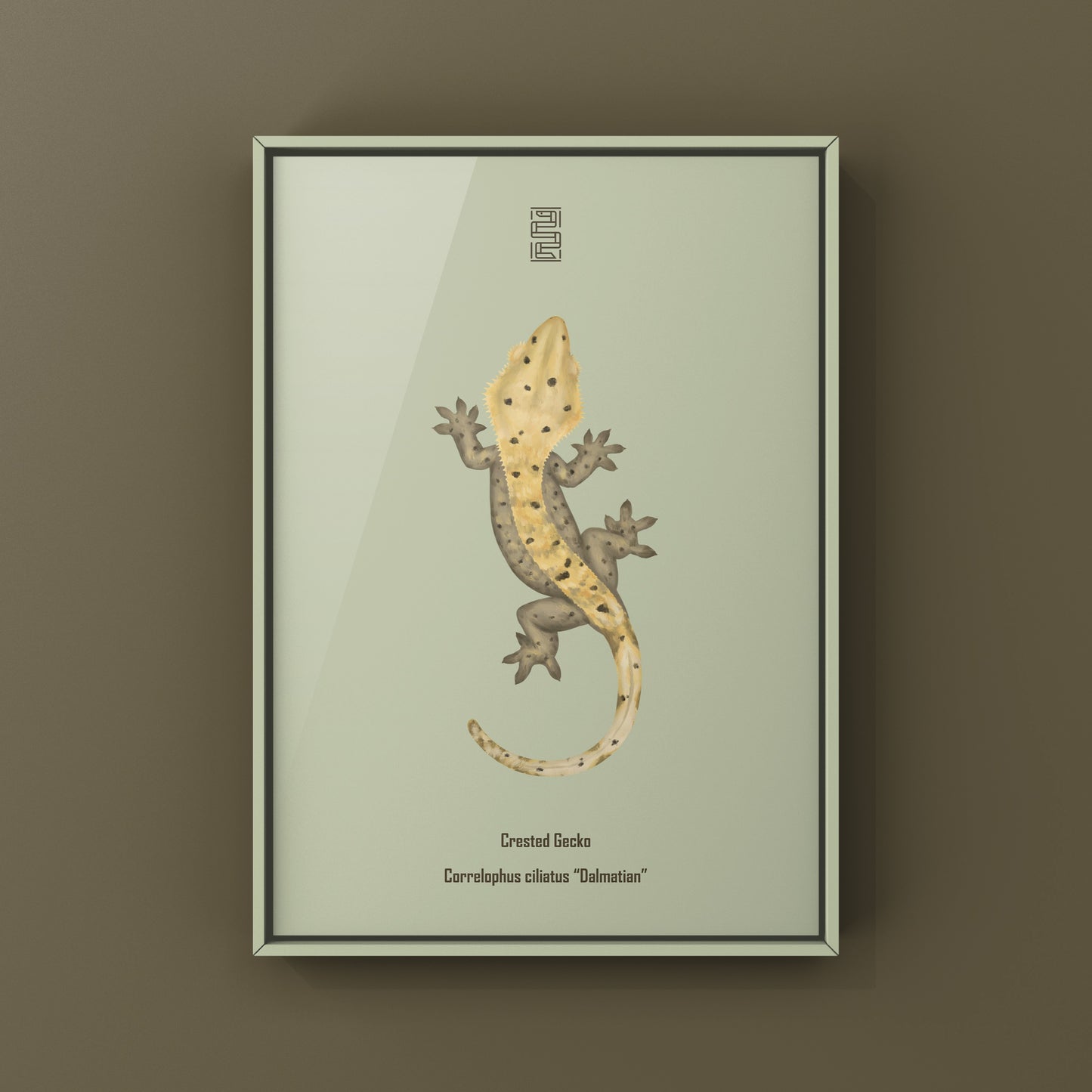 Dalmatian Crested Gecko Photographic Art Print from The Silk Ranch