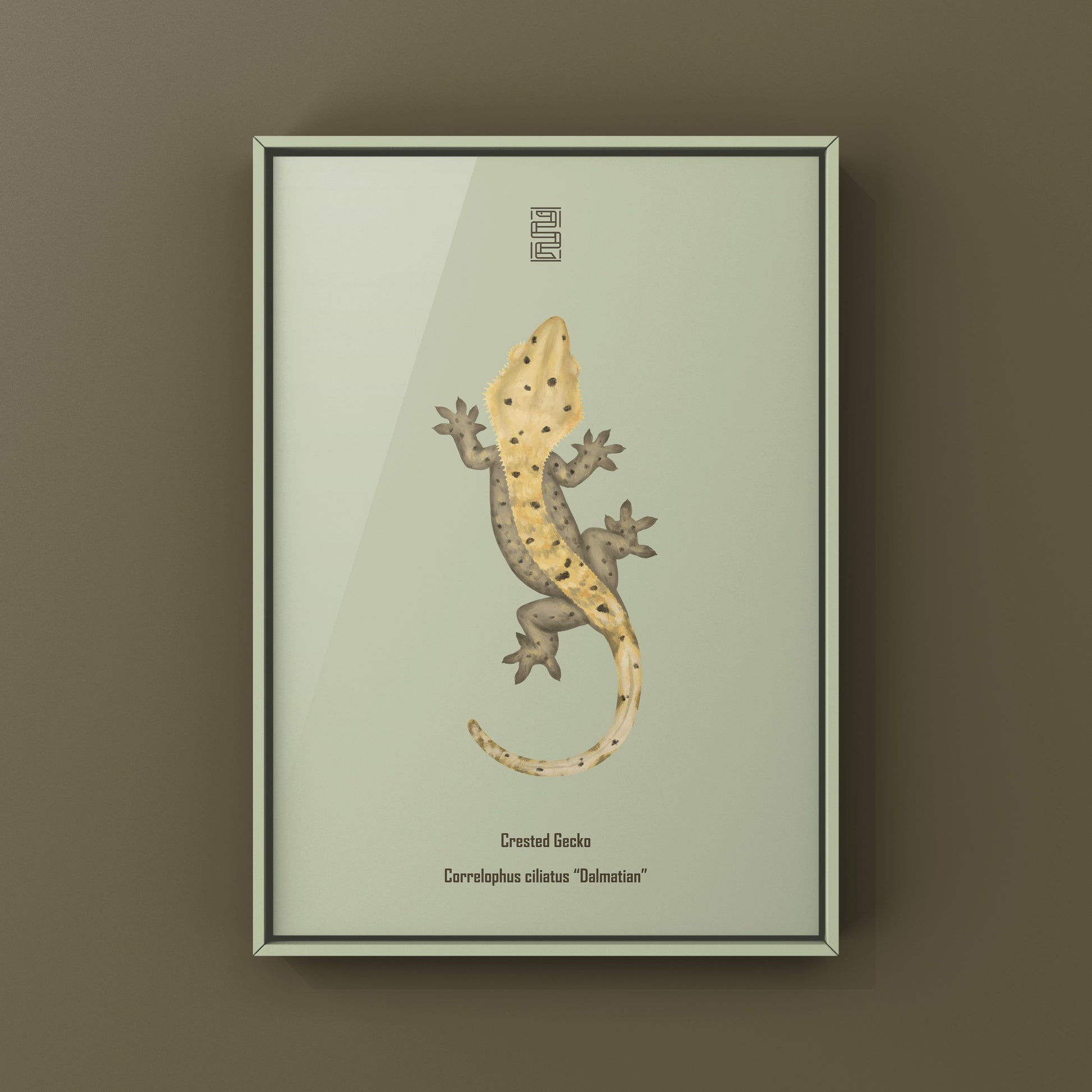 Dalmatian Crested Gecko Photographic Art Print from The Silk Ranch