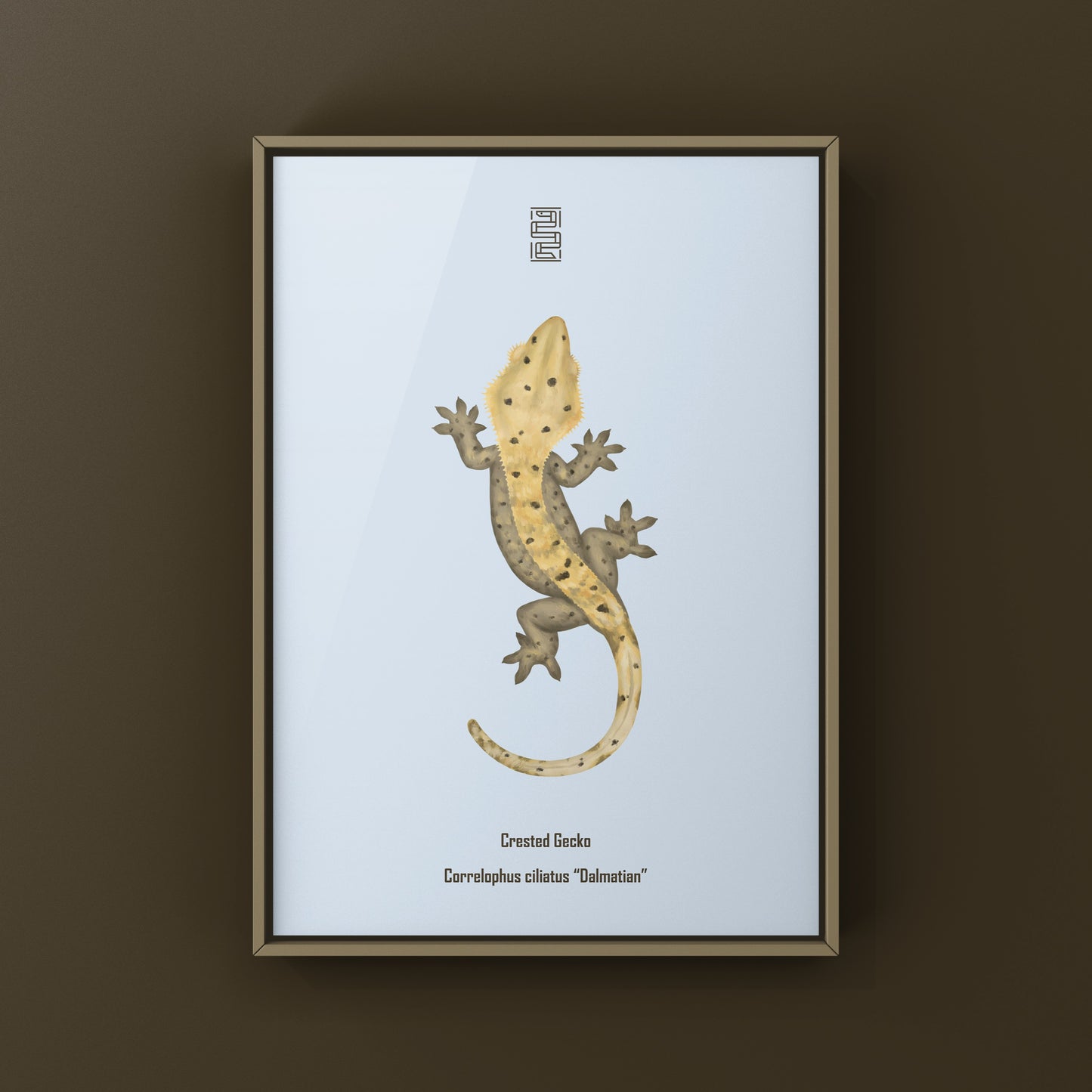 Dalmatian Crested Gecko Photographic Art Print from The Silk Ranch
