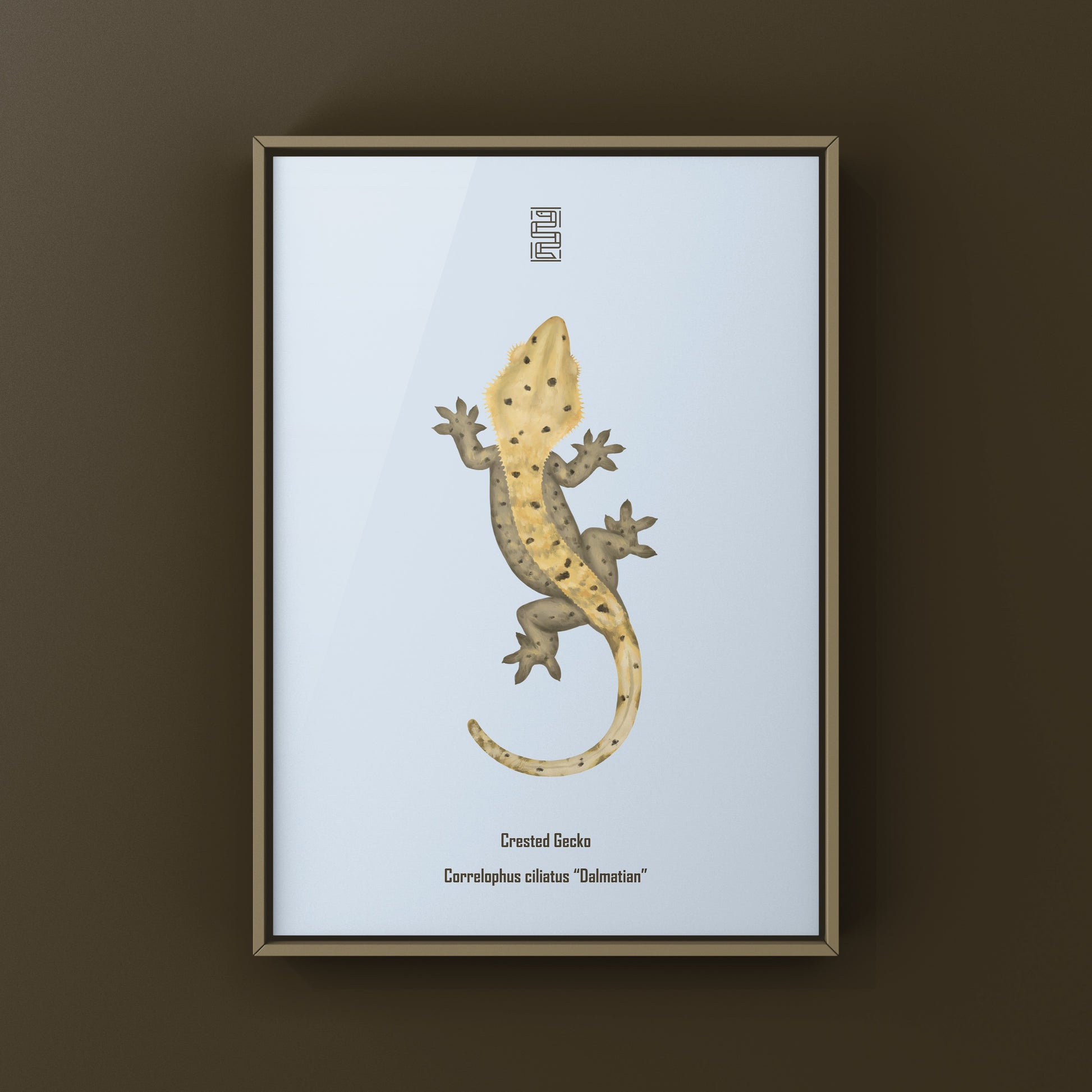 Dalmatian Crested Gecko Photographic Art Print from The Silk Ranch