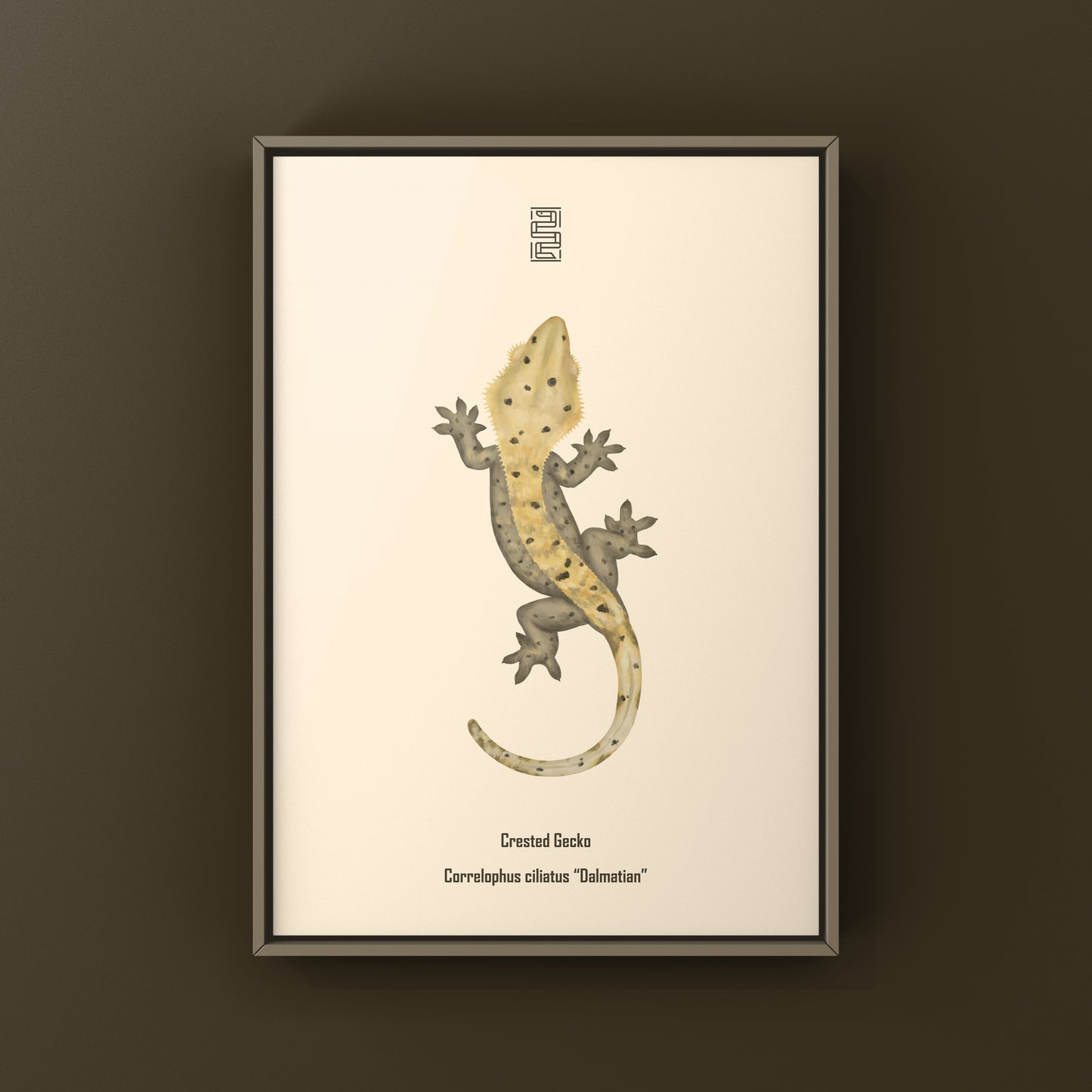 Dalmatian Crested Gecko Photographic Art Print from The Silk Ranch