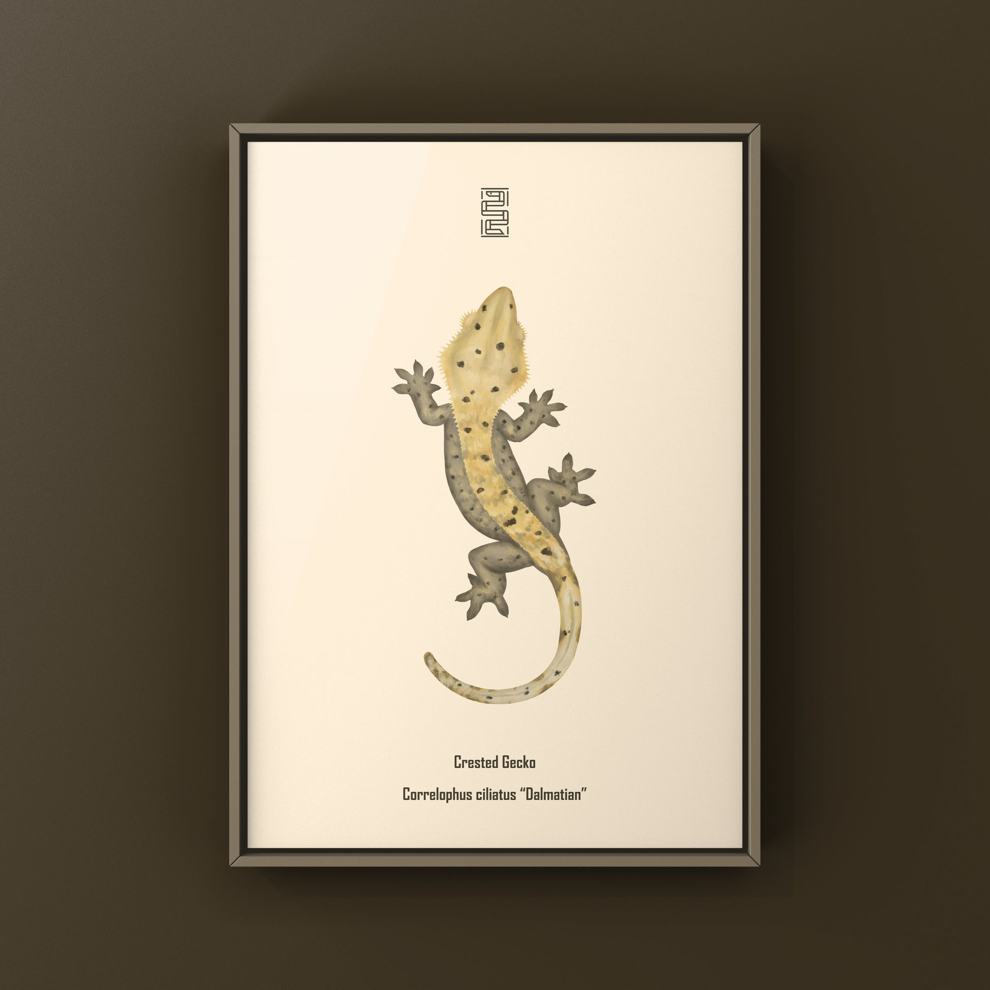Dalmatian Crested Gecko Photographic Art Print from The Silk Ranch