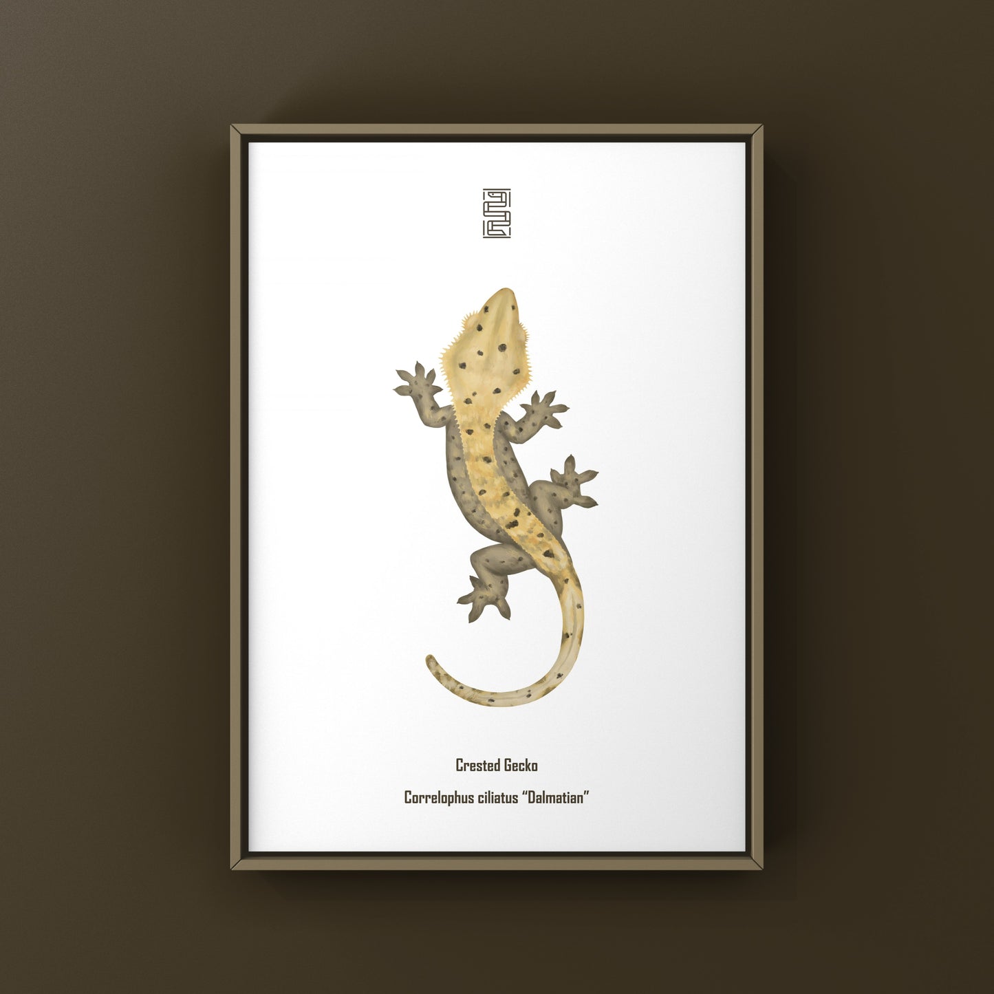 Dalmatian Crested Gecko Photographic Art Print from The Silk Ranch
