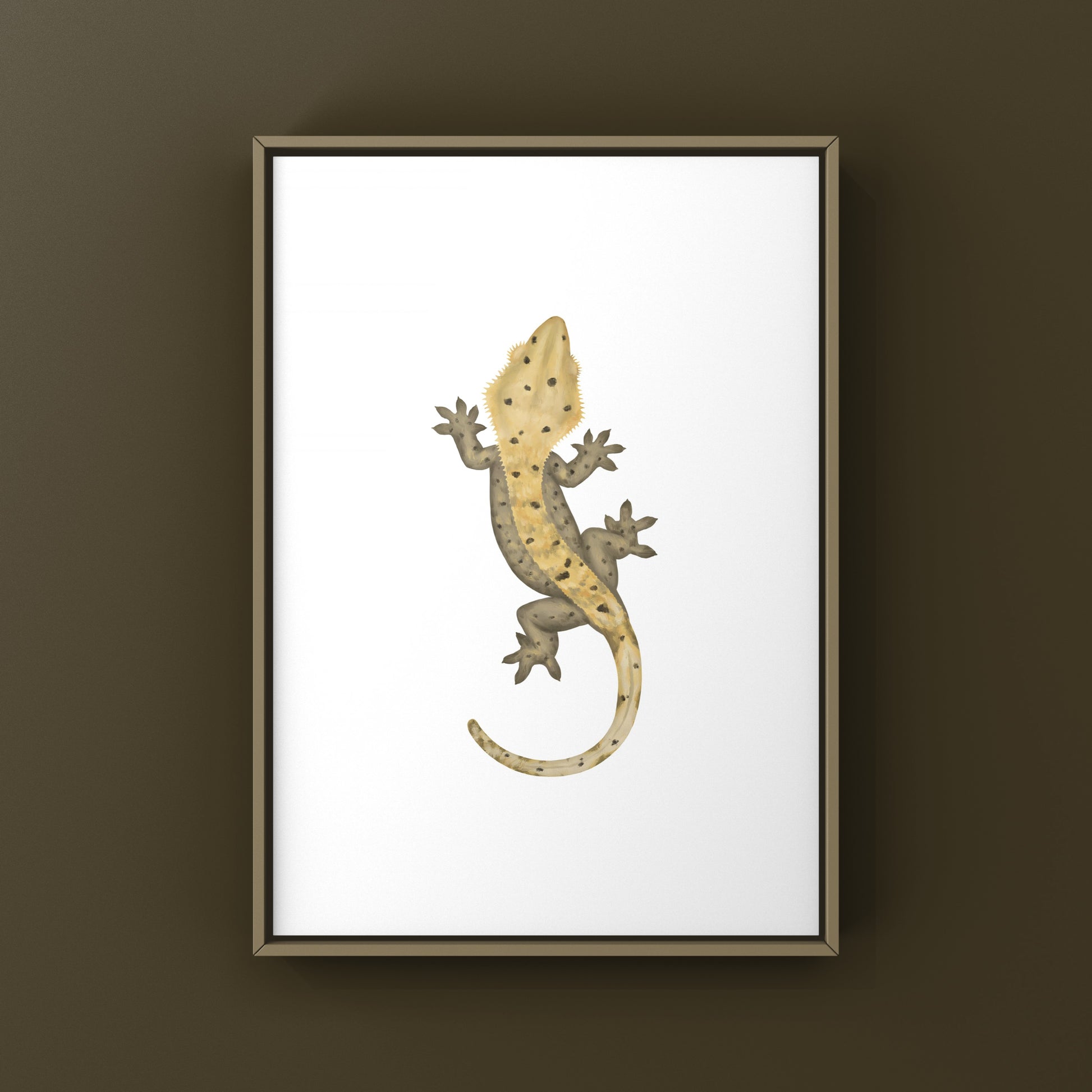 Dalmatian Crested Gecko Photographic Art Print from The Silk Ranch