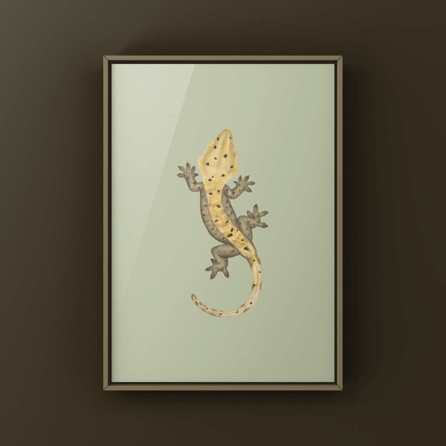 Dalmatian Crested Gecko Photographic Art Print from The Silk Ranch