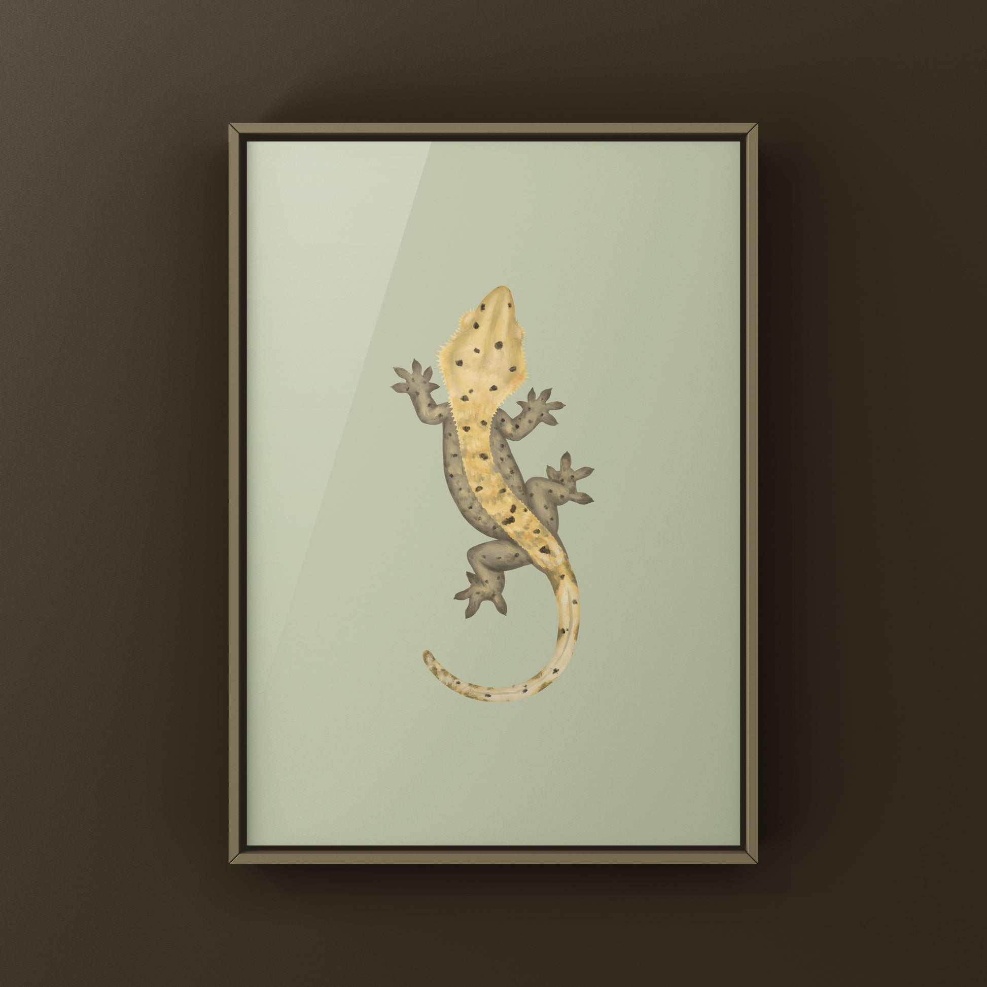 Dalmatian Crested Gecko Photographic Art Print from The Silk Ranch