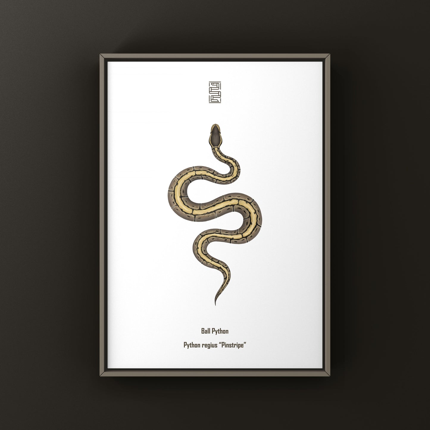 Pinstripe Ball Python Art Print from The Silk Ranch