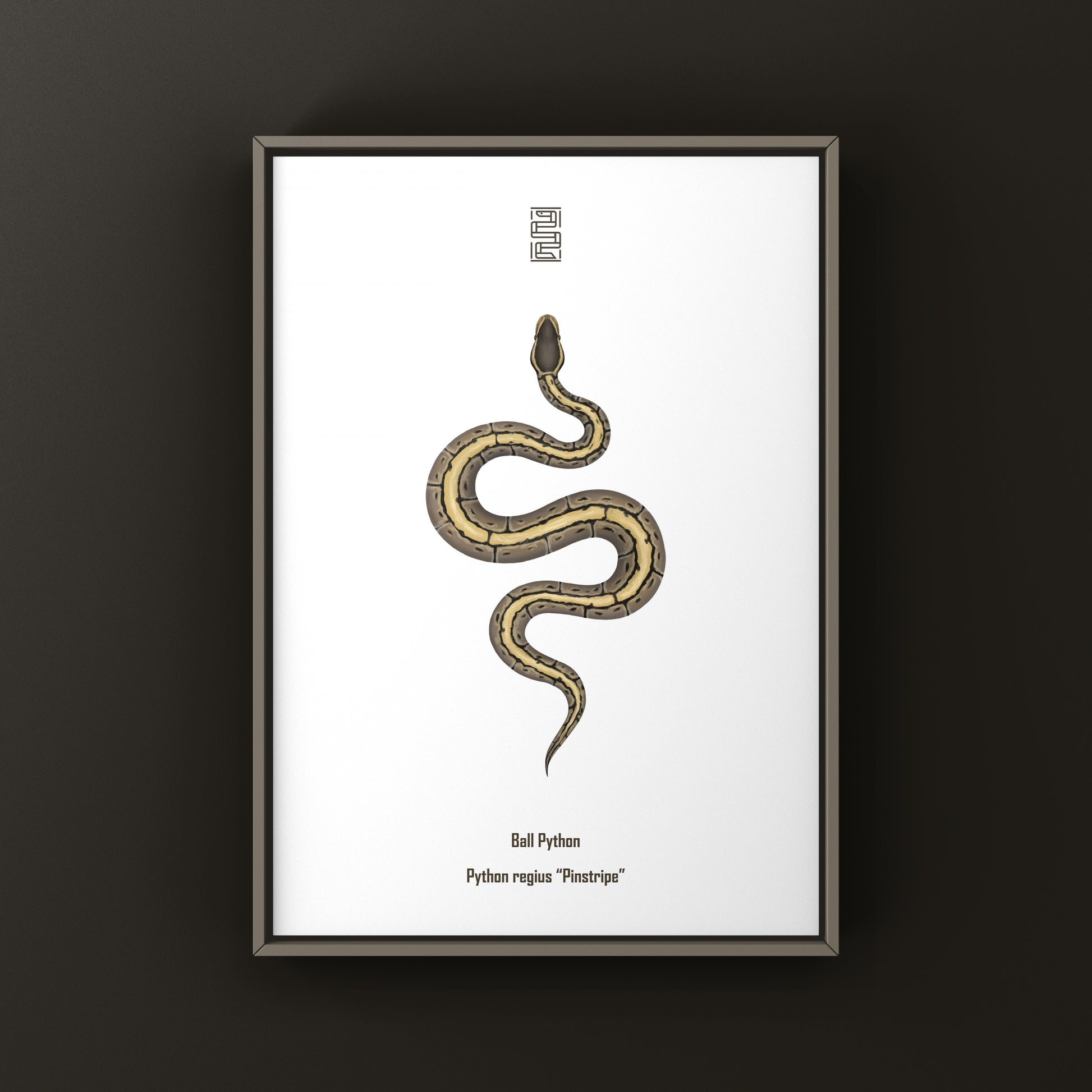 Pinstripe Ball Python Art Print from The Silk Ranch