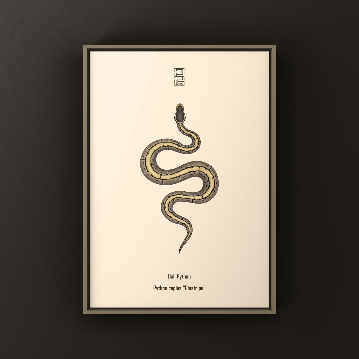 Pinstripe Ball Python Art Print from The Silk Ranch