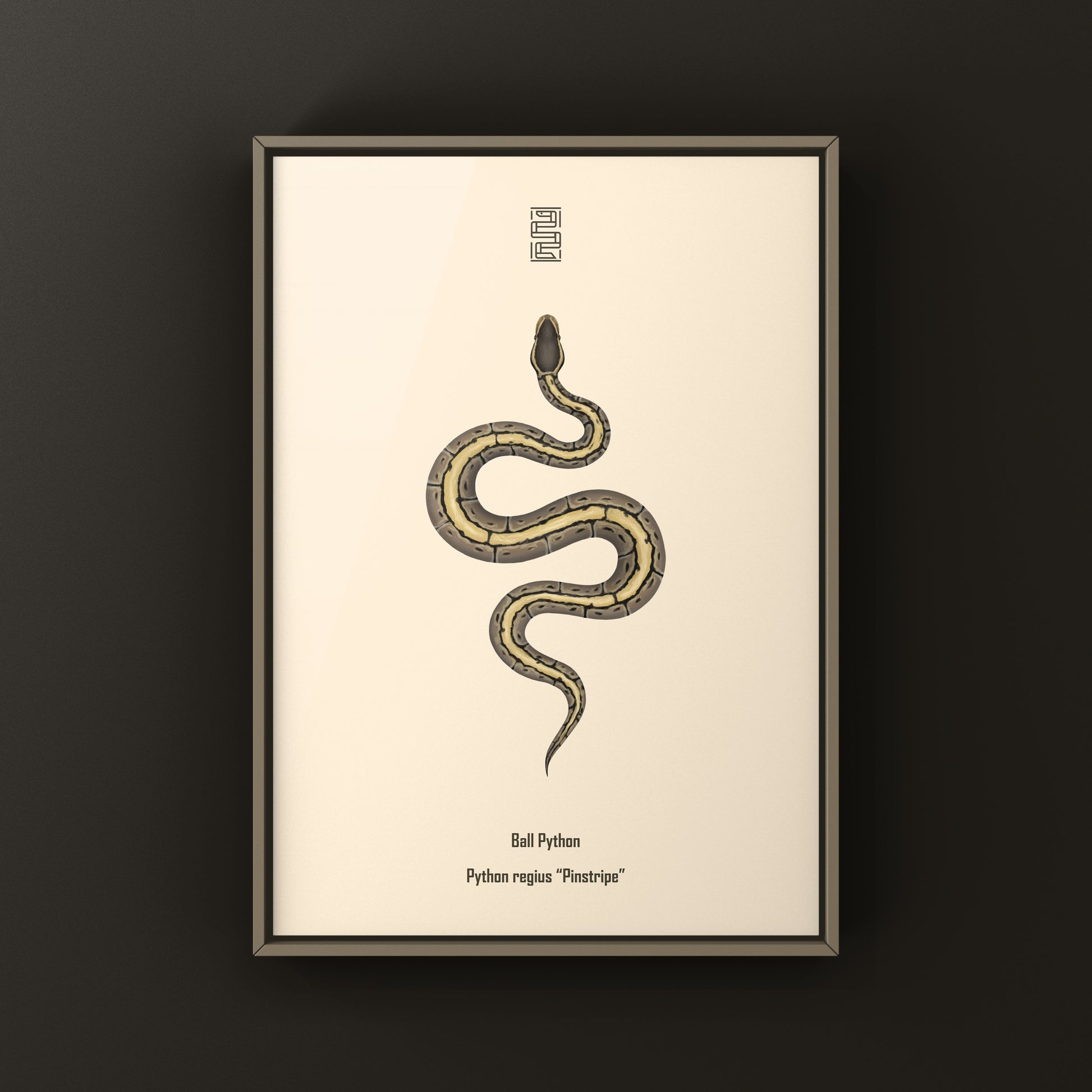 Pinstripe Ball Python Art Print from The Silk Ranch