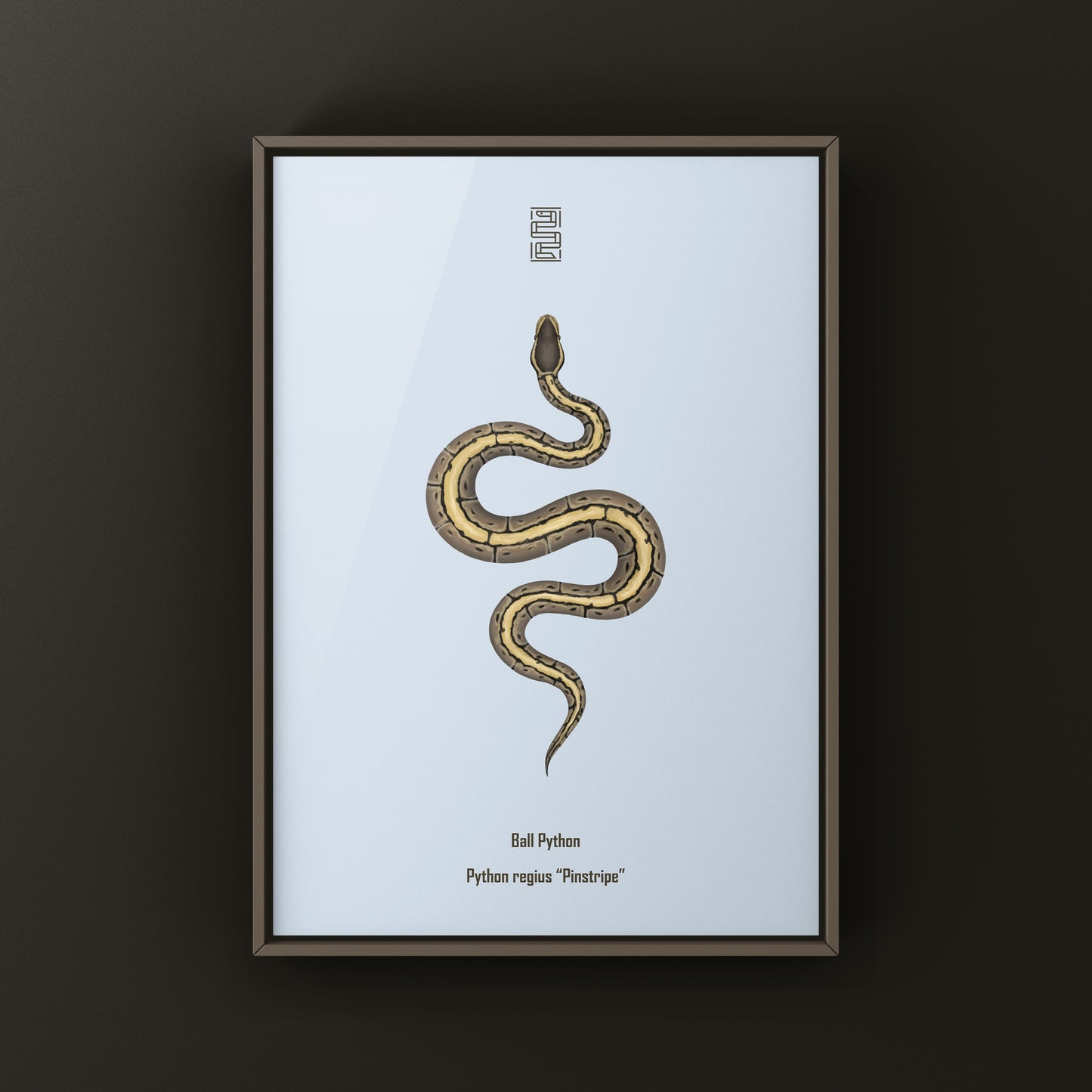 Pinstripe Ball Python Art Print from The Silk Ranch