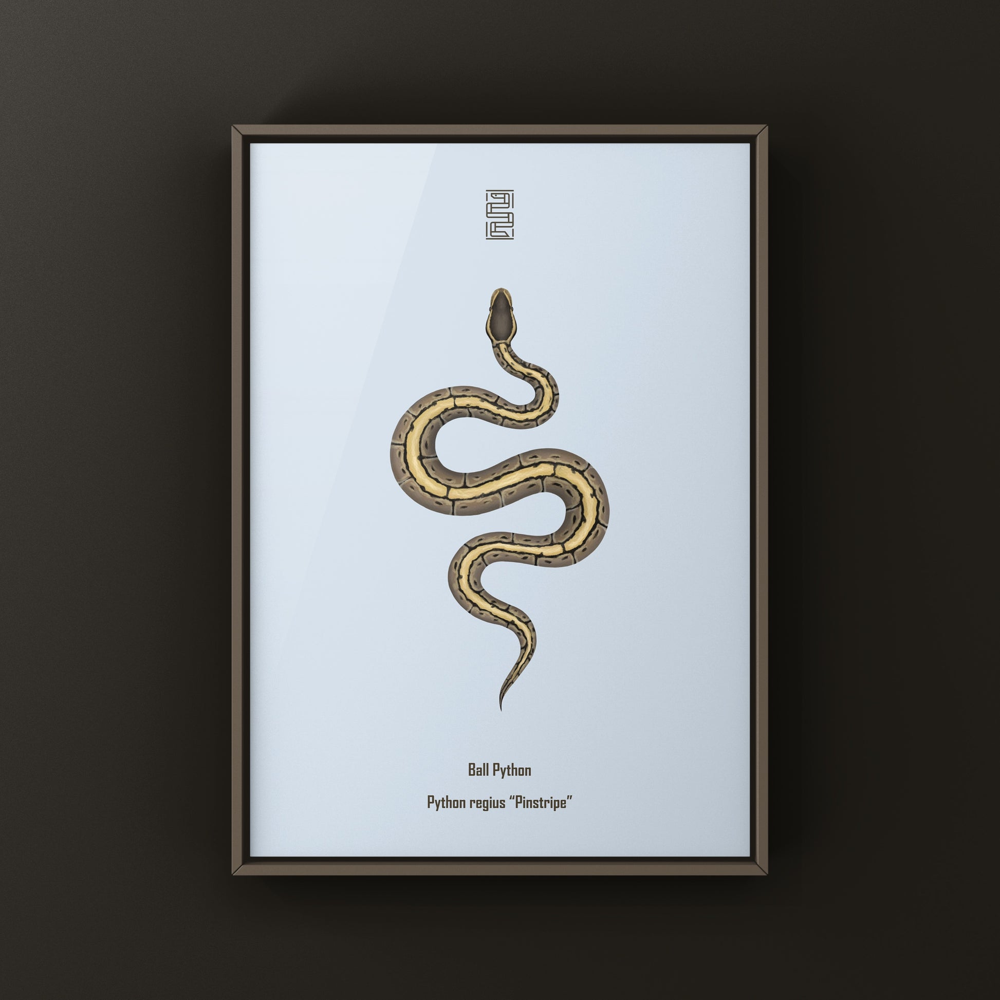 Pinstripe Ball Python Art Print from The Silk Ranch
