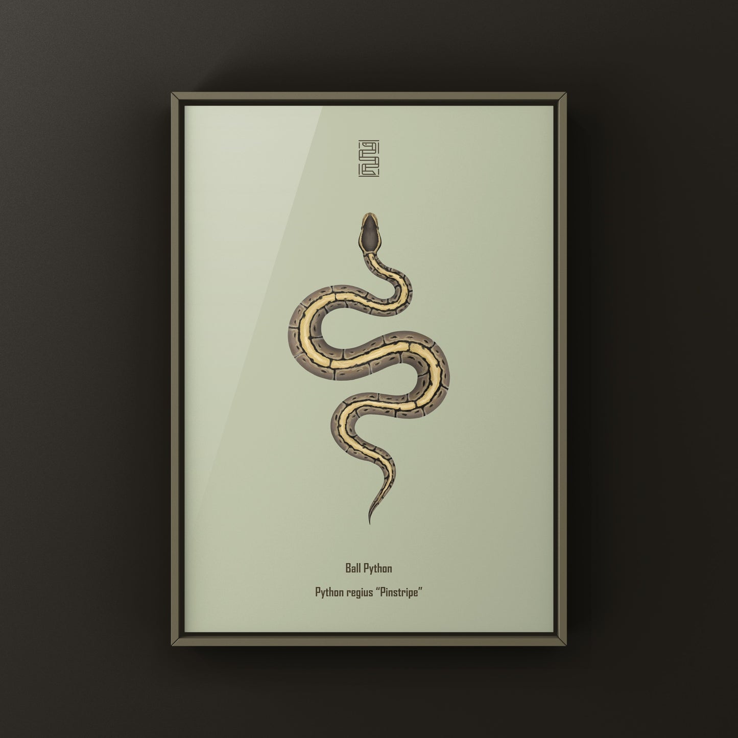 Pinstripe Ball Python Art Print from The Silk Ranch
