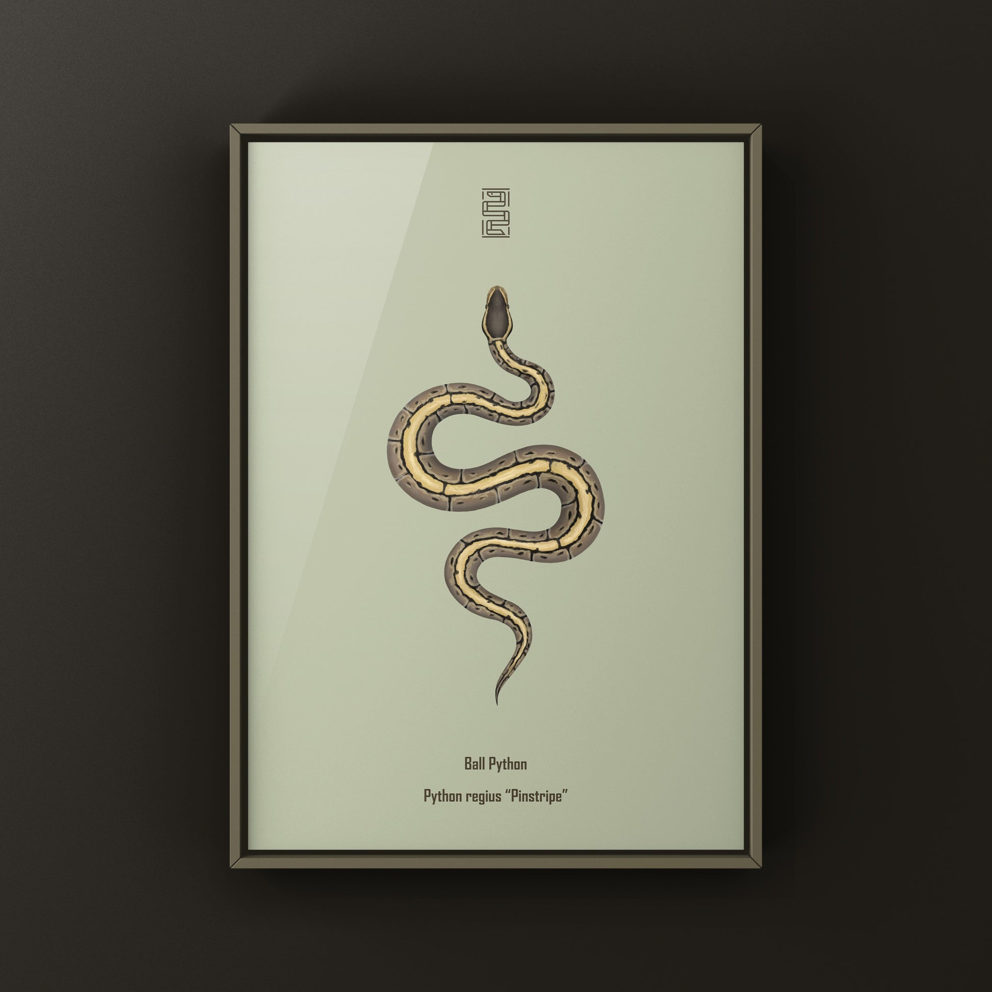 Pinstripe Ball Python Art Print from The Silk Ranch