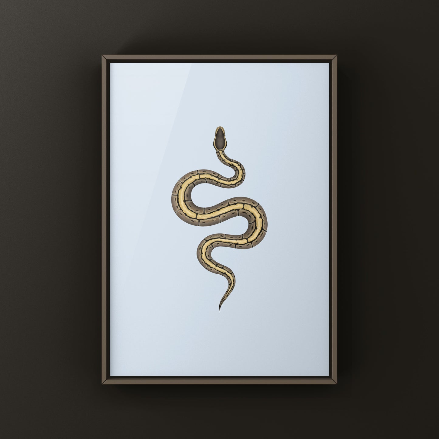 Pinstripe Ball Python Art Print from The Silk Ranch