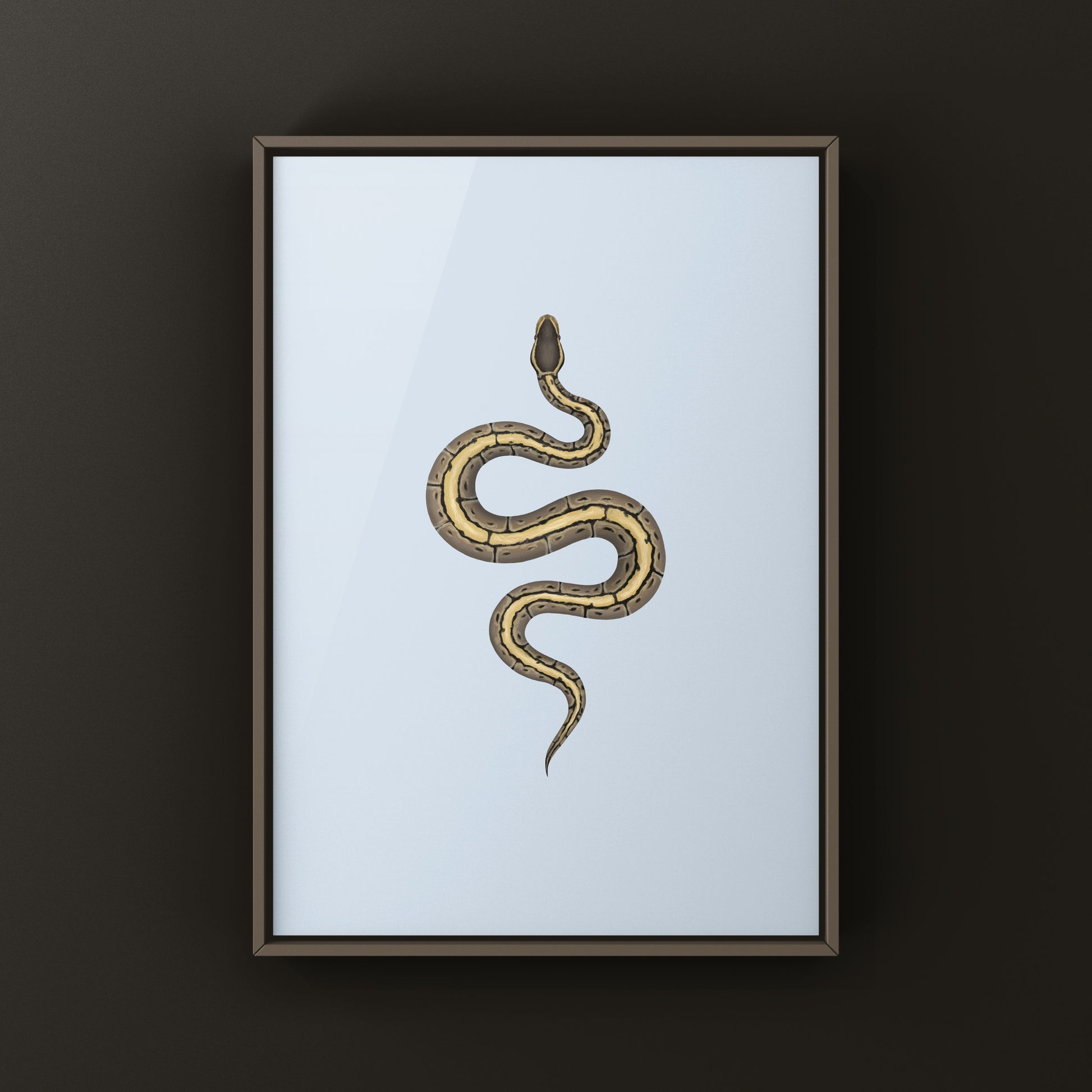 Pinstripe Ball Python Art Print from The Silk Ranch
