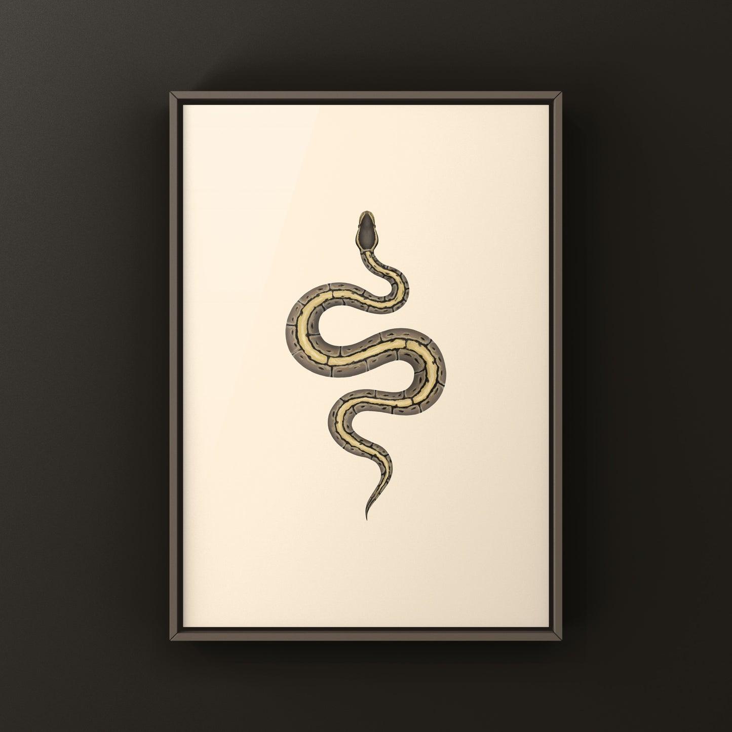 Pinstripe Ball Python Art Print from The Silk Ranch
