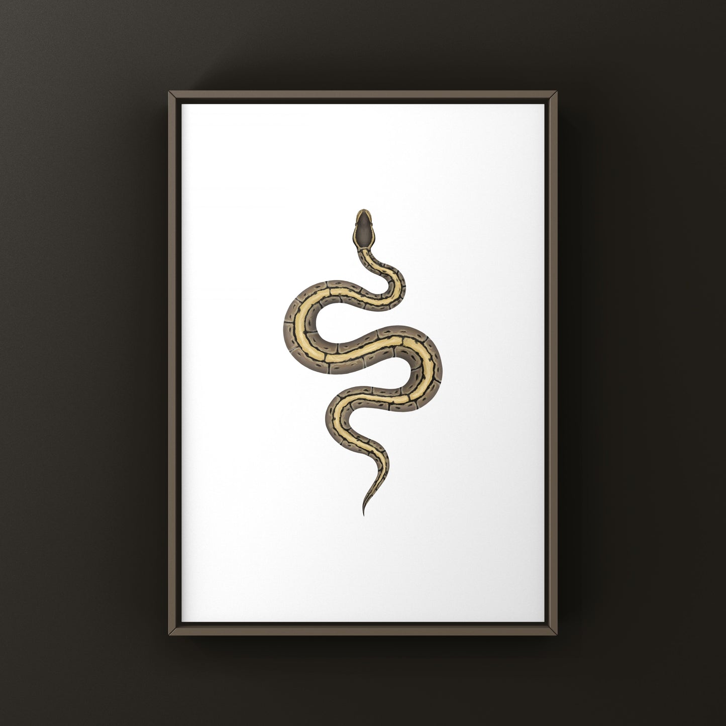 Pinstripe Ball Python Art Print from The Silk Ranch