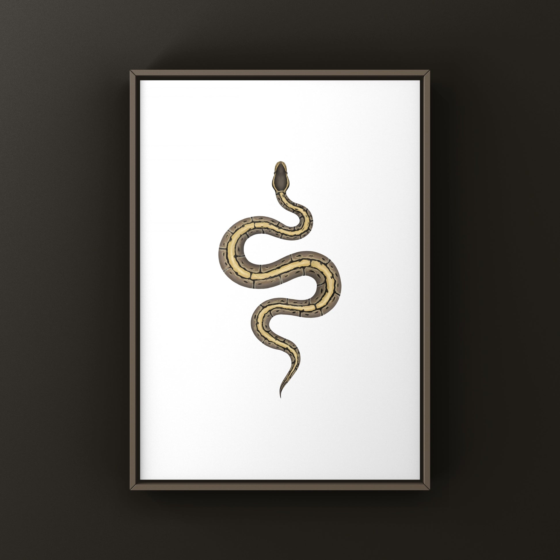 Pinstripe Ball Python Art Print from The Silk Ranch