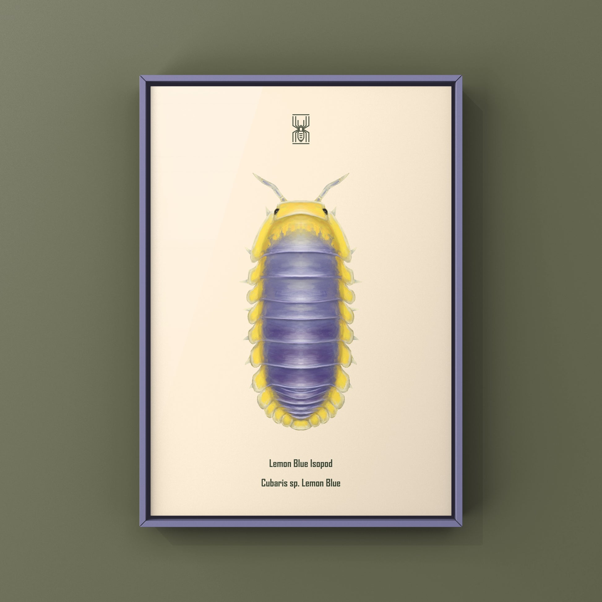 Lemon Blue Isopod (Cubaris sp. Lemon Blue) Photographic Art Print from The Silk Ranch