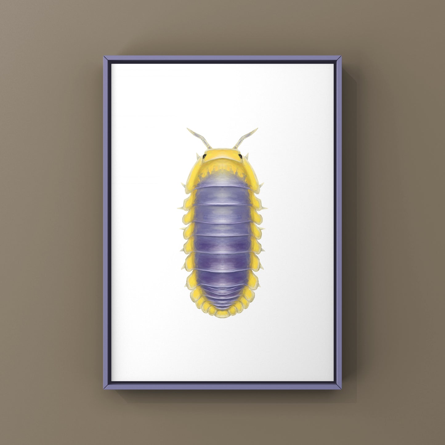 Lemon Blue Isopod (Cubaris sp. Lemon Blue) Photographic Art Print from The Silk Ranch