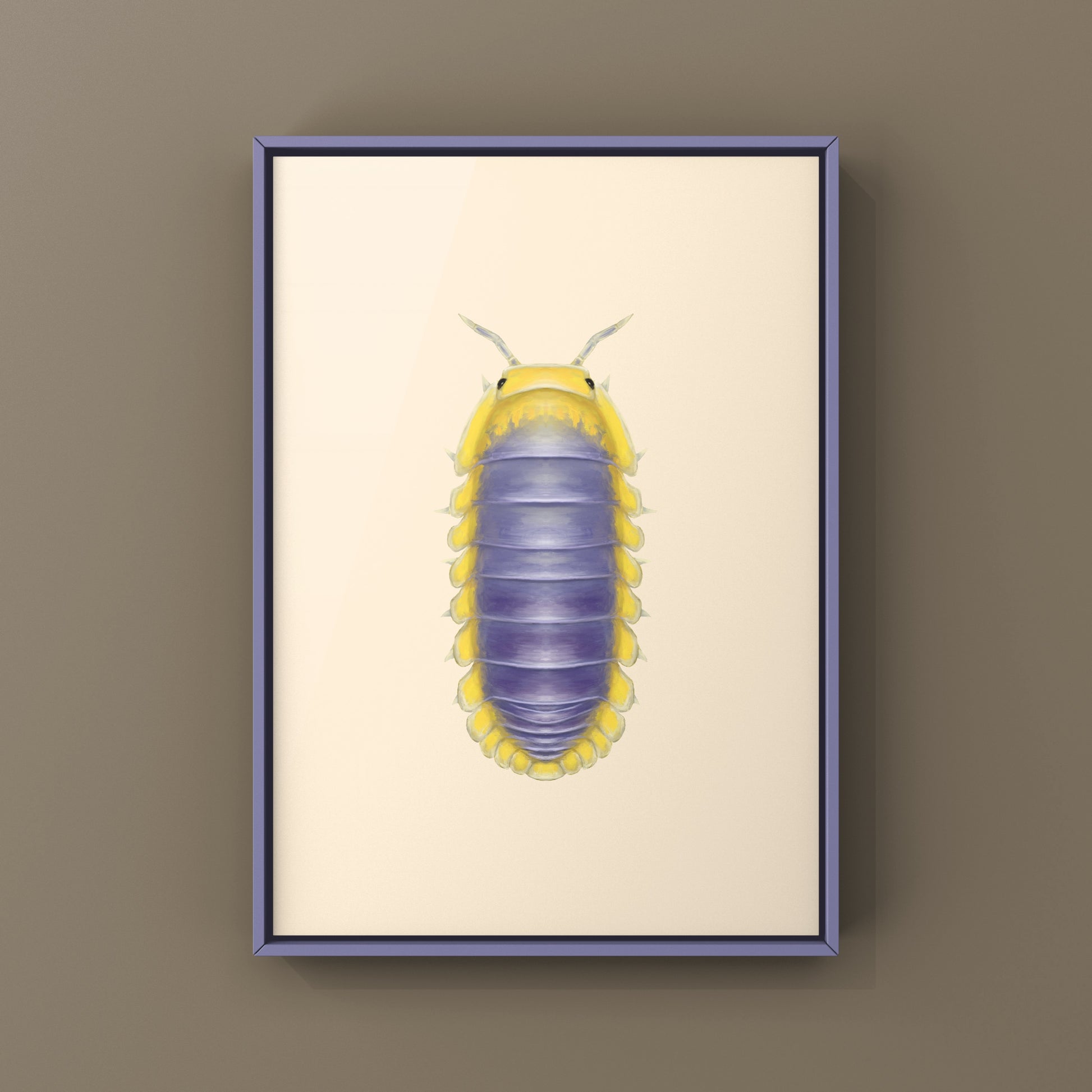 Lemon Blue Isopod (Cubaris sp. Lemon Blue) Photographic Art Print from The Silk Ranch