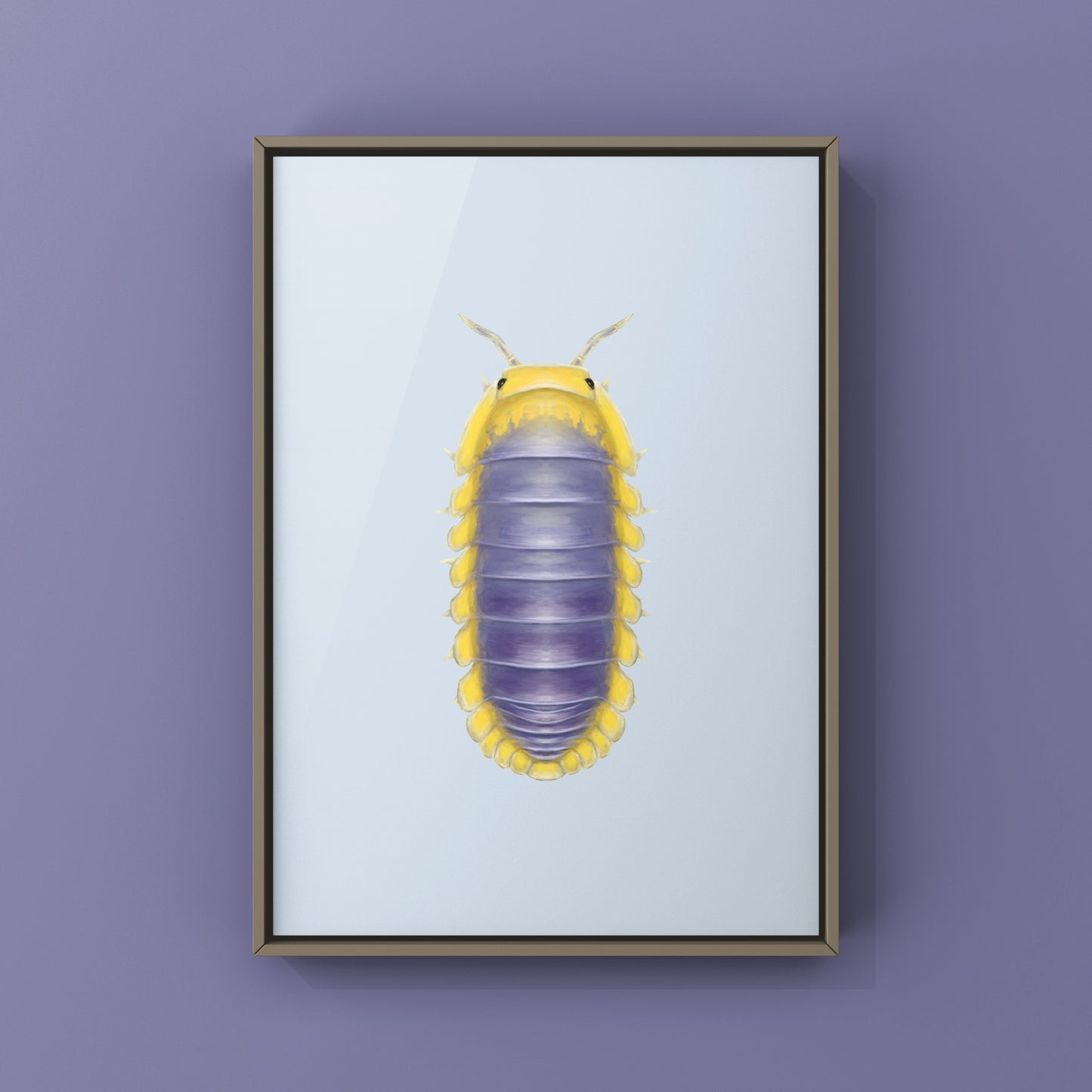 Lemon Blue Isopod (Cubaris sp. Lemon Blue) Photographic Art Print from The Silk Ranch