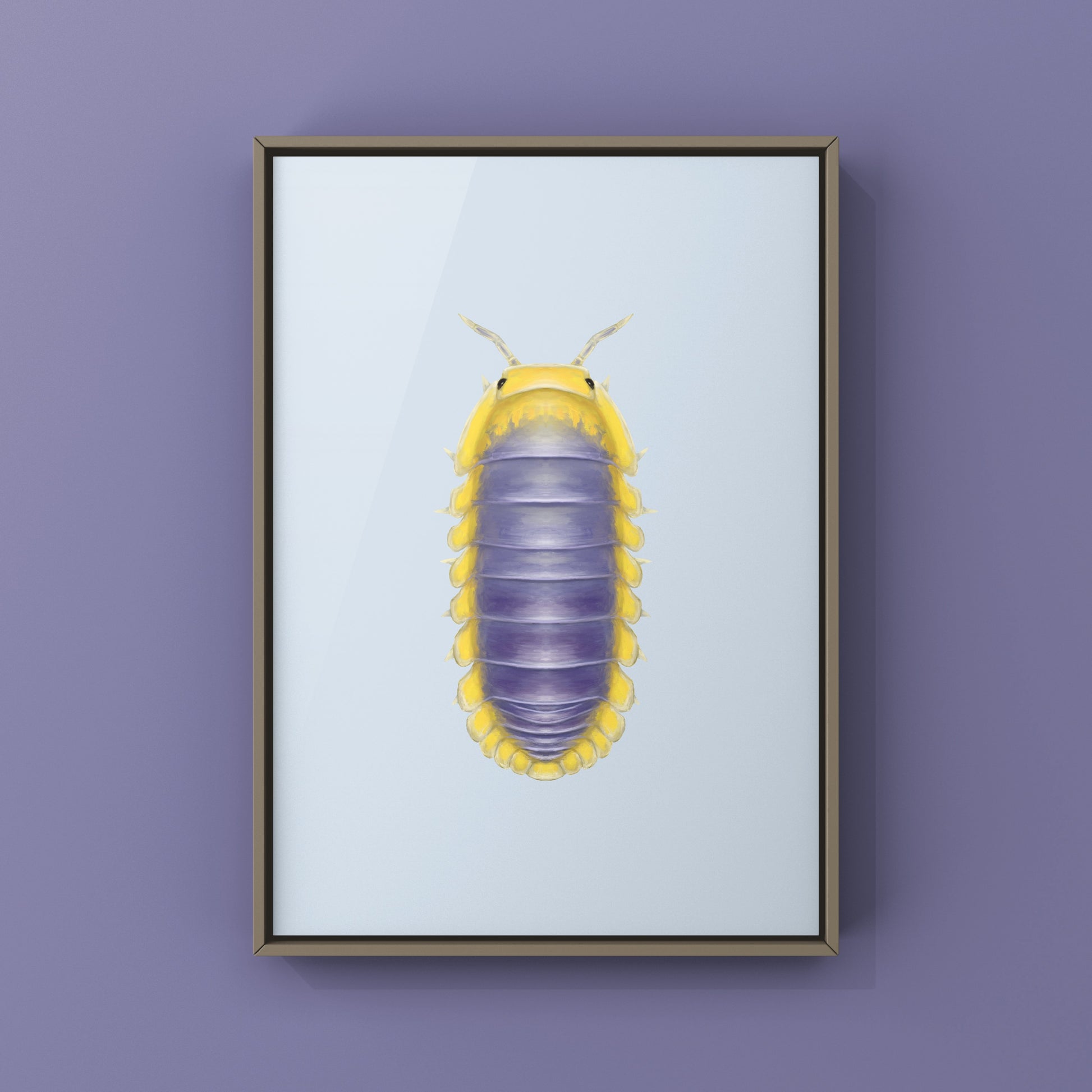 Lemon Blue Isopod (Cubaris sp. Lemon Blue) Photographic Art Print from The Silk Ranch