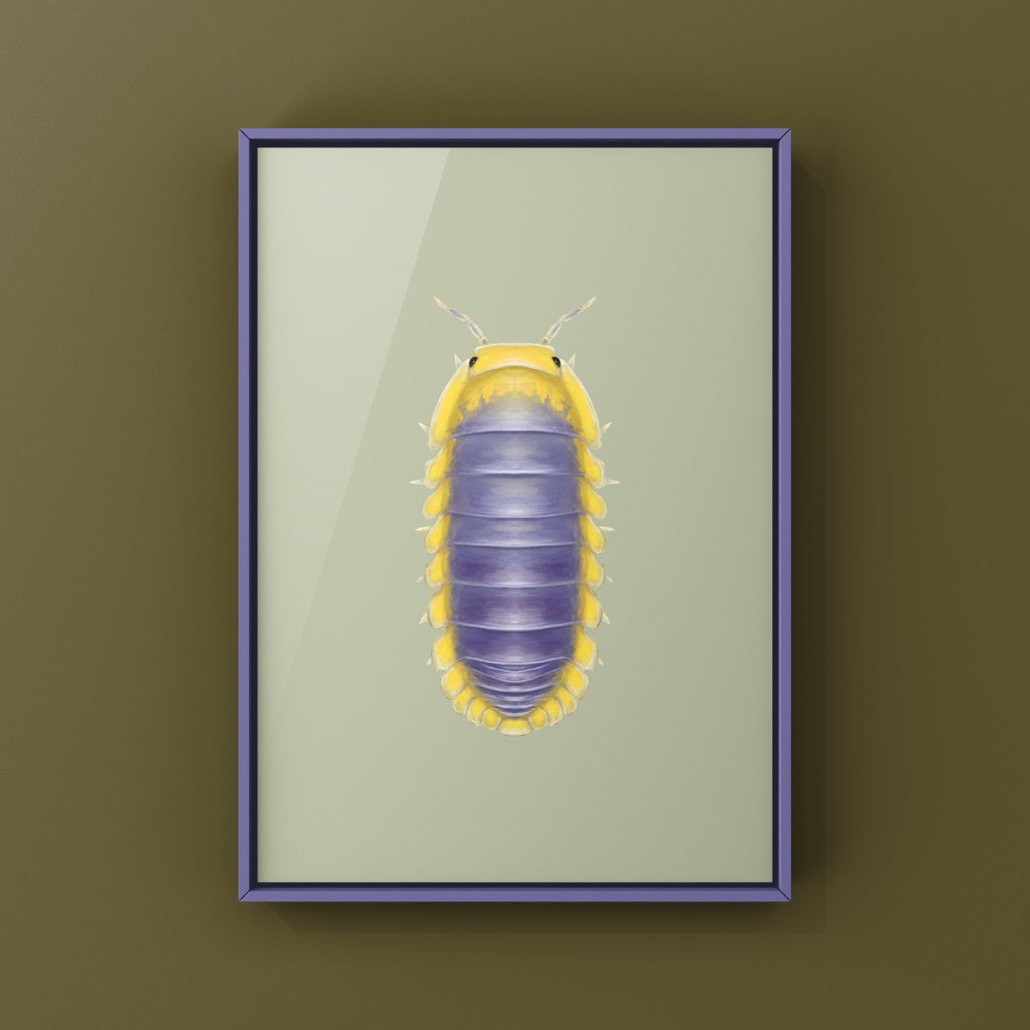 Lemon Blue Isopod (Cubaris sp. Lemon Blue) Photographic Art Print from The Silk Ranch