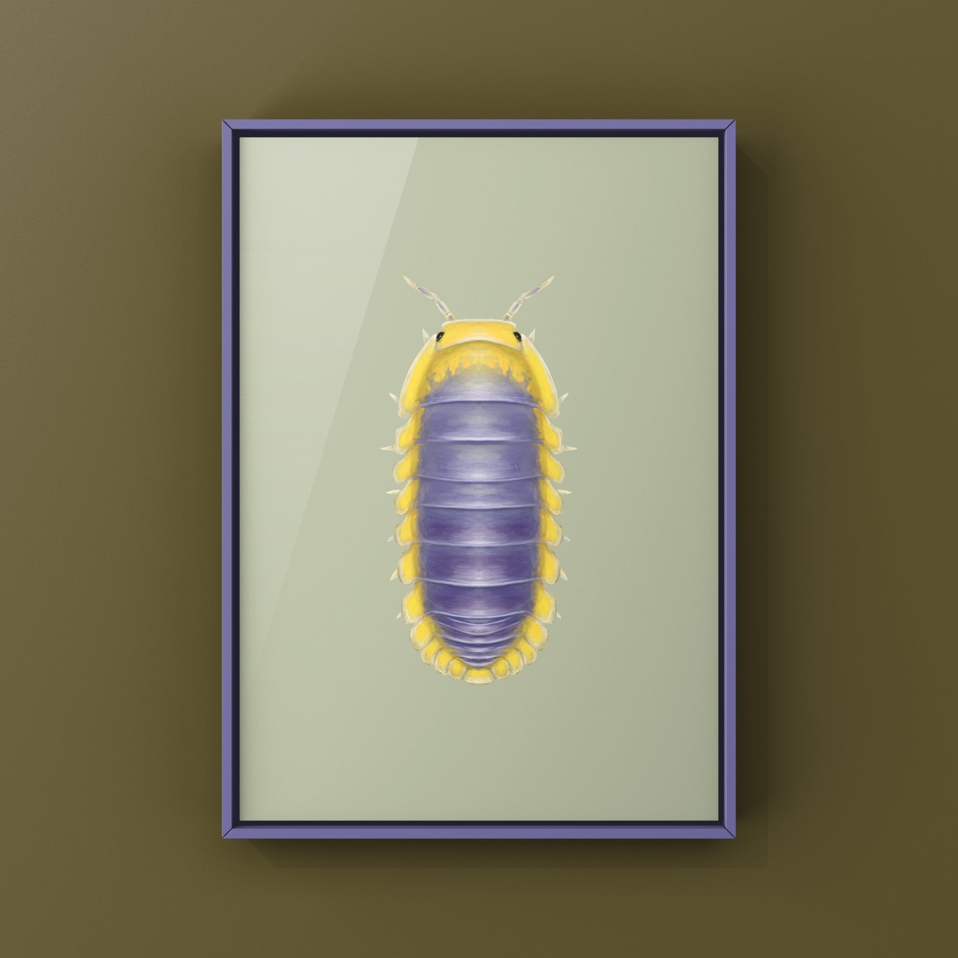 Lemon Blue Isopod (Cubaris sp. Lemon Blue) Photographic Art Print from The Silk Ranch