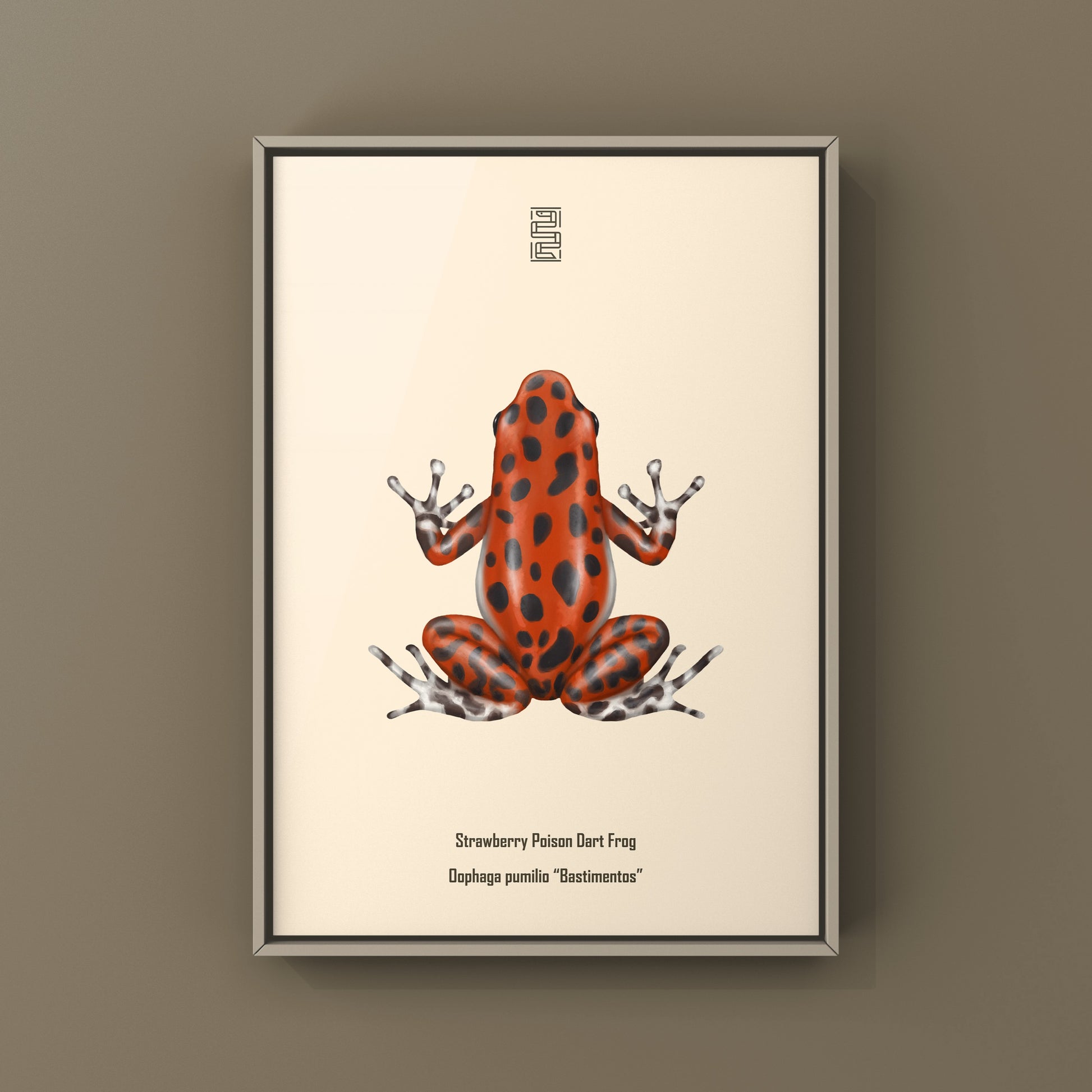 Bastimentos Strawberry Poison Dart Frog (Oophaga pumilio) Photographic Art Print from The Silk Ranch