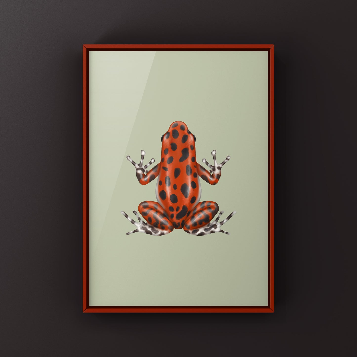 Bastimentos Strawberry Poison Dart Frog (Oophaga pumilio) Photographic Art Print from The Silk Ranch
