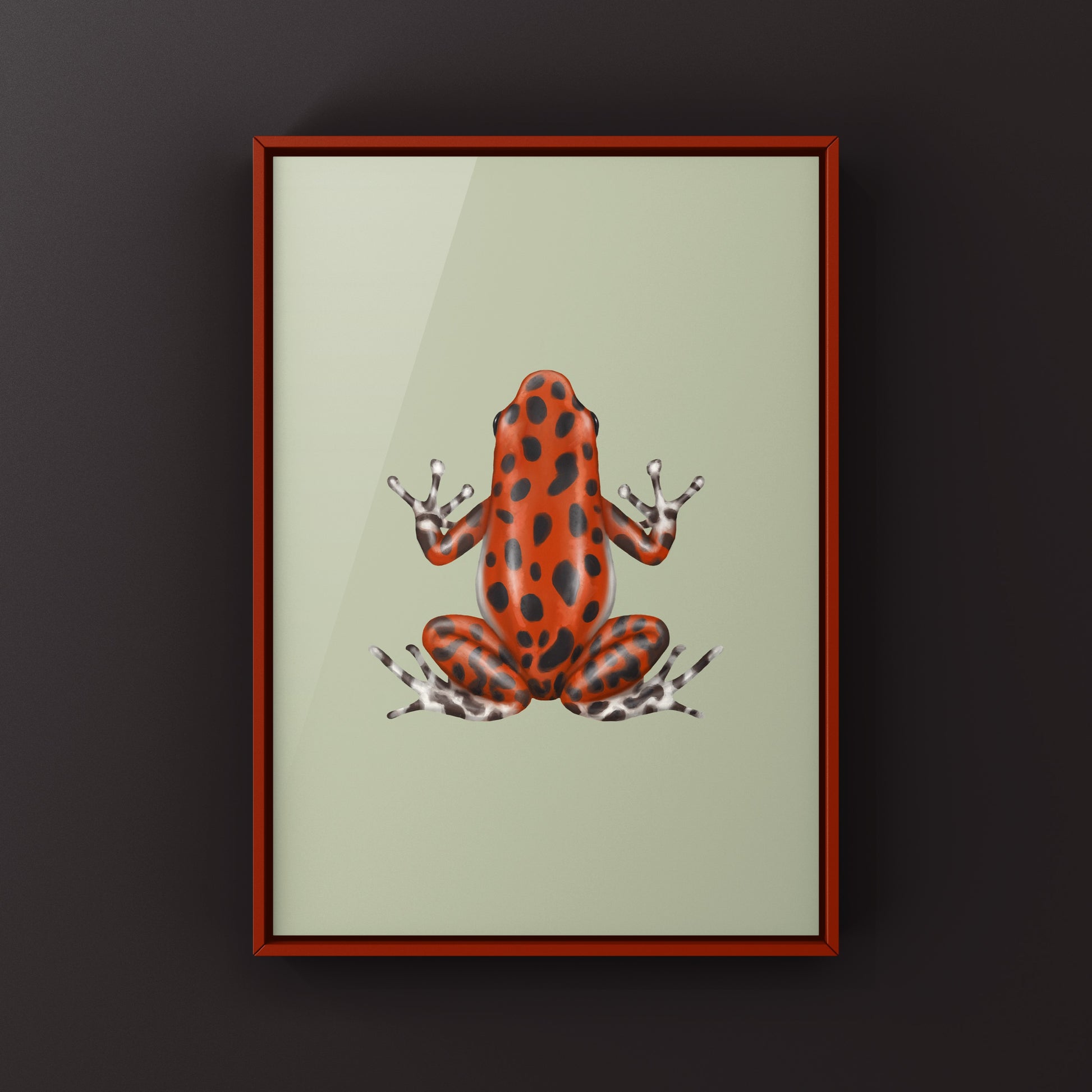 Bastimentos Strawberry Poison Dart Frog (Oophaga pumilio) Photographic Art Print from The Silk Ranch