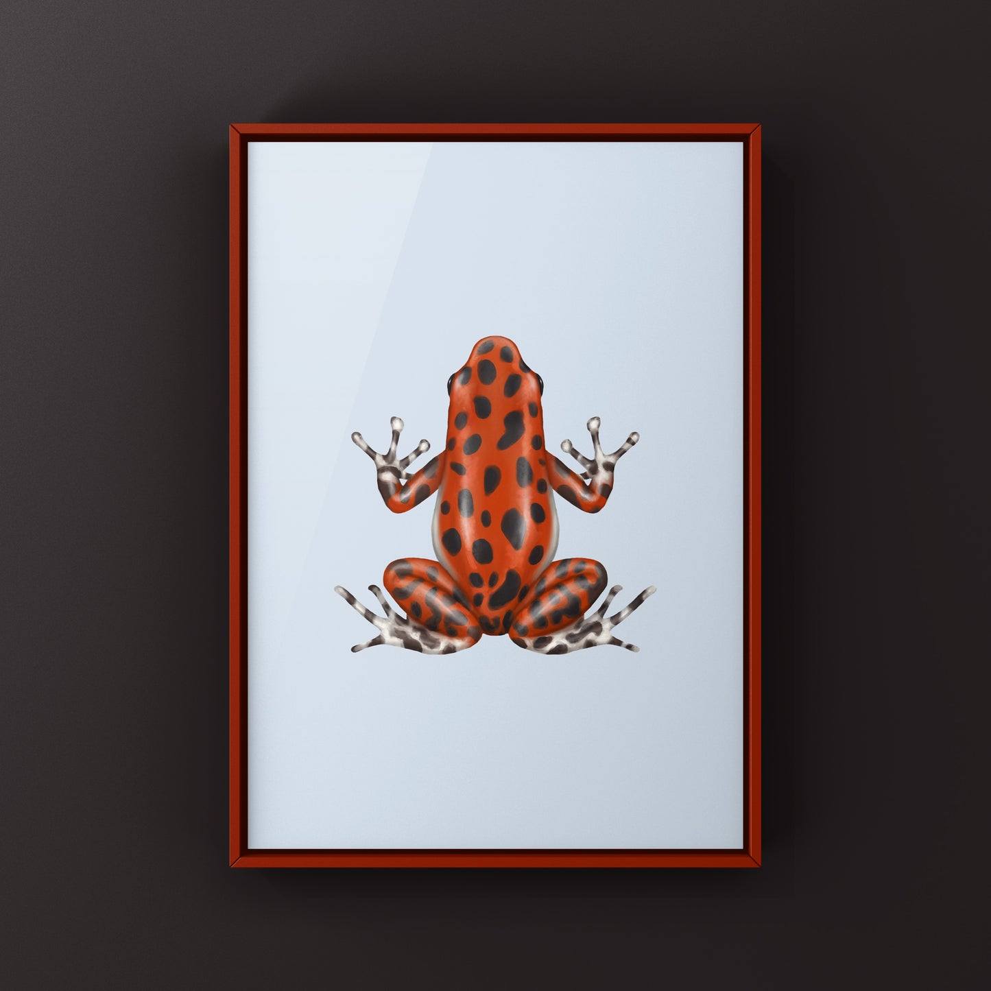 Bastimentos Strawberry Poison Dart Frog (Oophaga pumilio) Photographic Art Print from The Silk Ranch