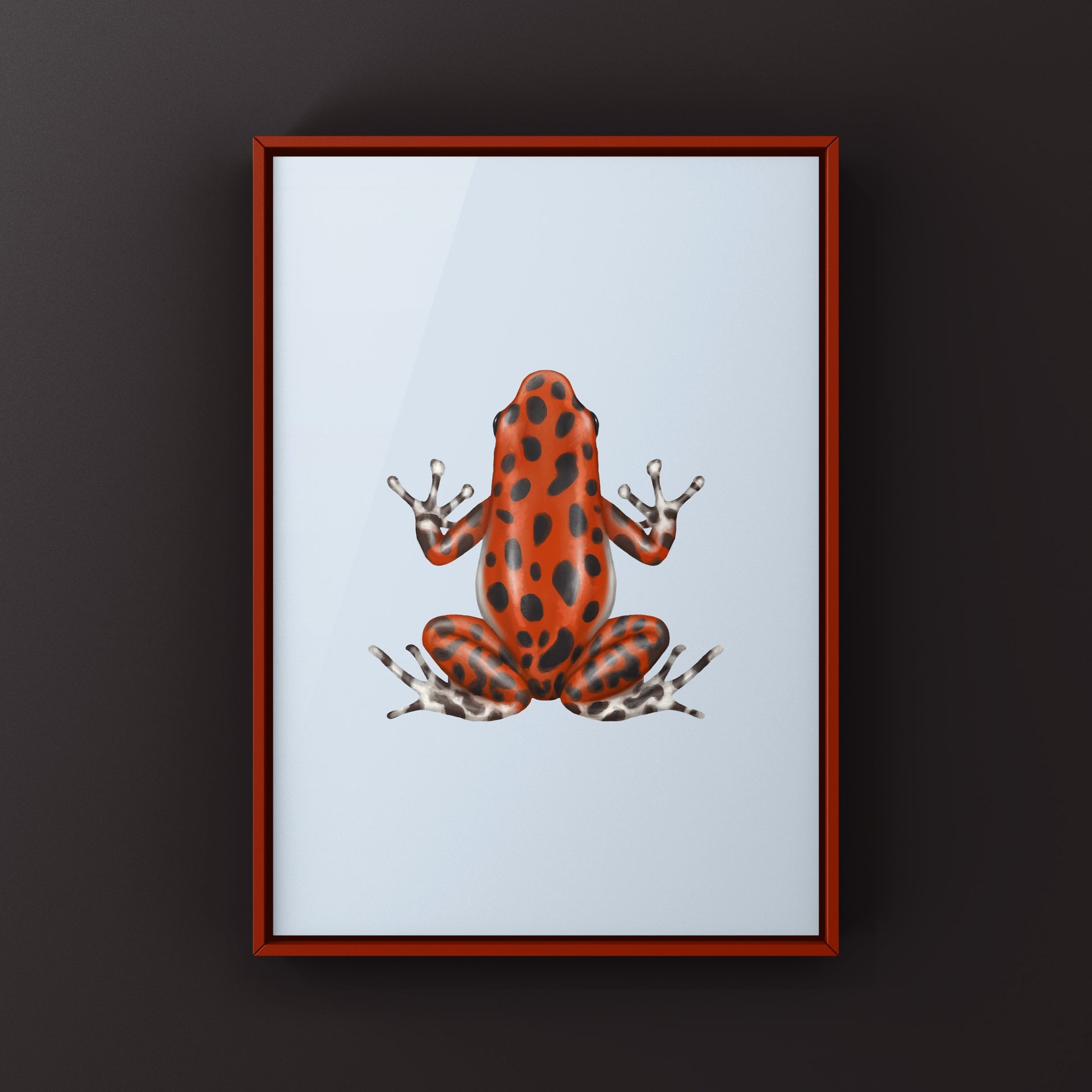 Bastimentos Strawberry Poison Dart Frog (Oophaga pumilio) Photographic Art Print from The Silk Ranch
