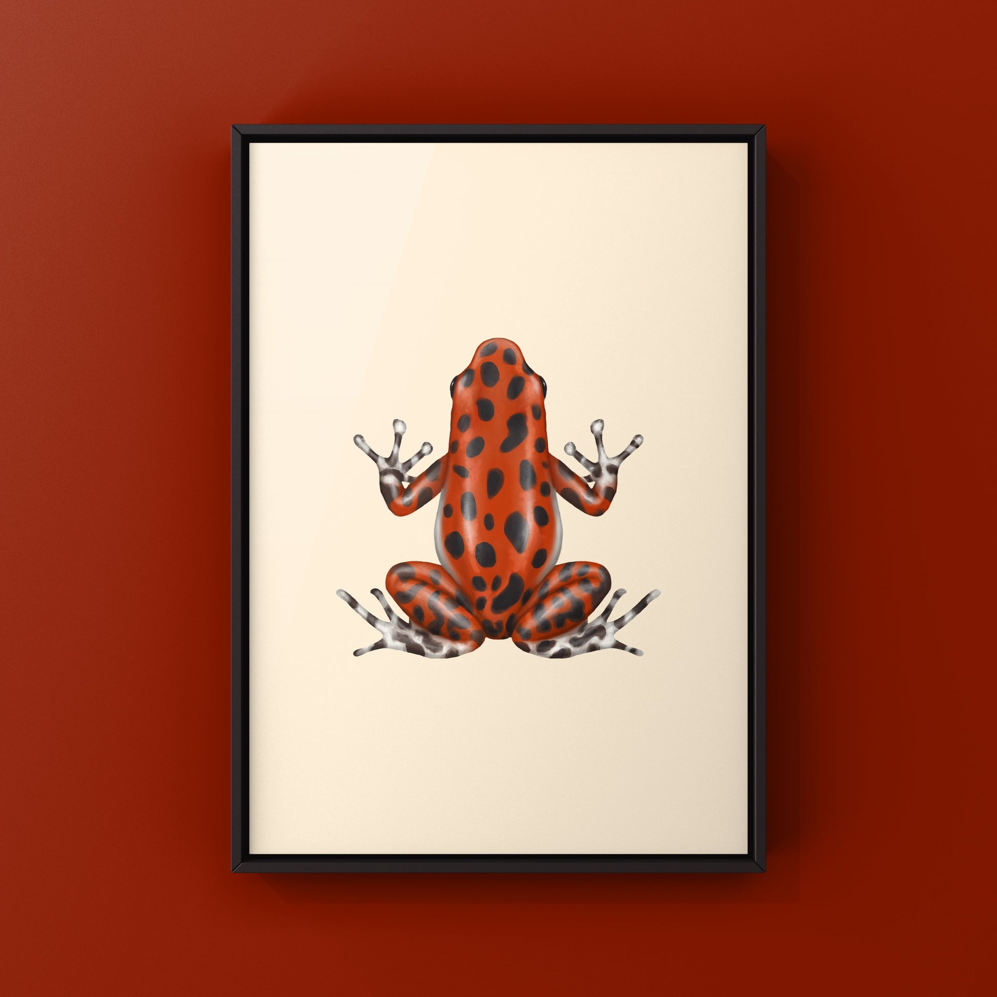 Bastimentos Strawberry Poison Dart Frog (Oophaga pumilio) Photographic Art Print from The Silk Ranch