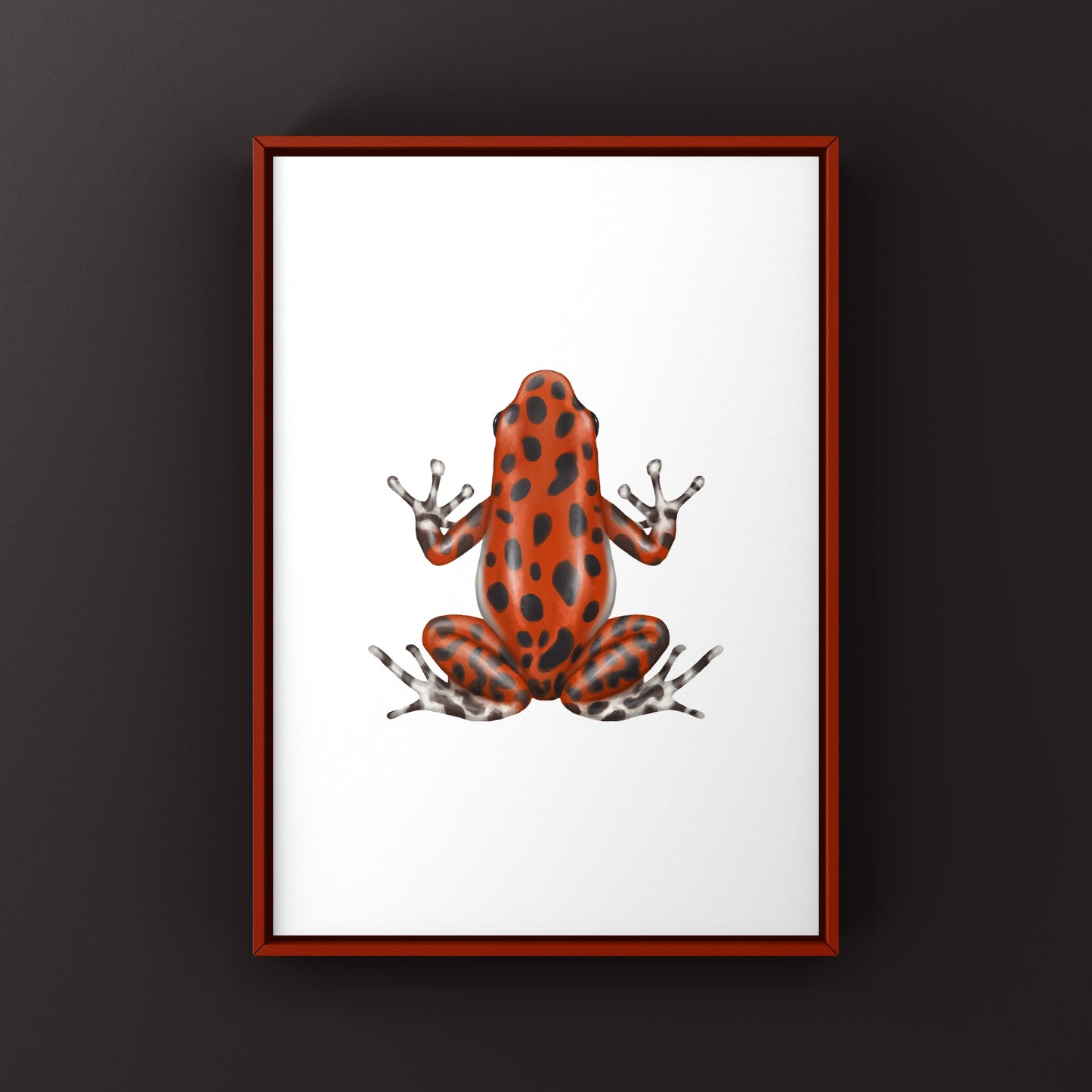Bastimentos Strawberry Poison Dart Frog (Oophaga pumilio) Photographic Art Print from The Silk Ranch