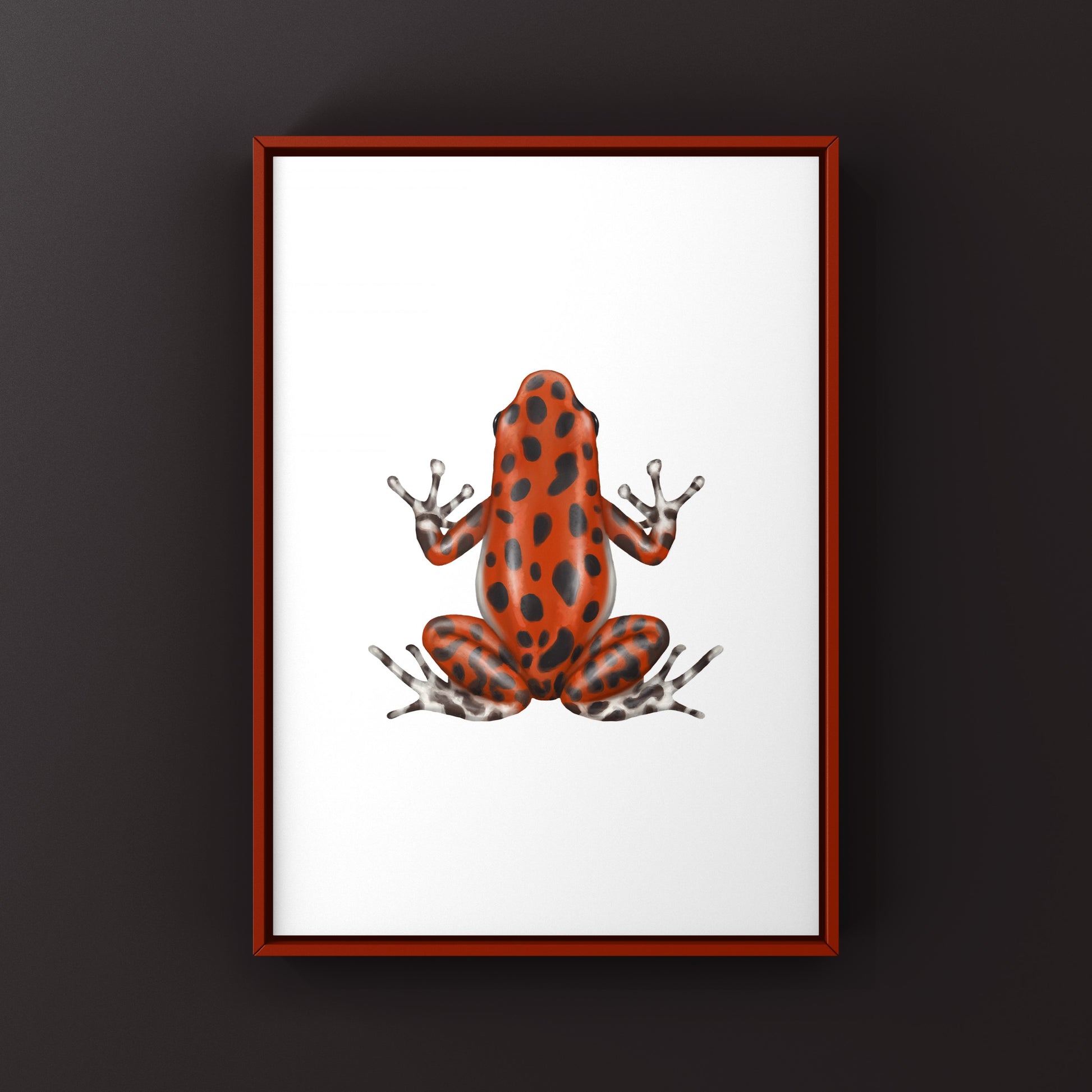 Bastimentos Strawberry Poison Dart Frog (Oophaga pumilio) Photographic Art Print from The Silk Ranch