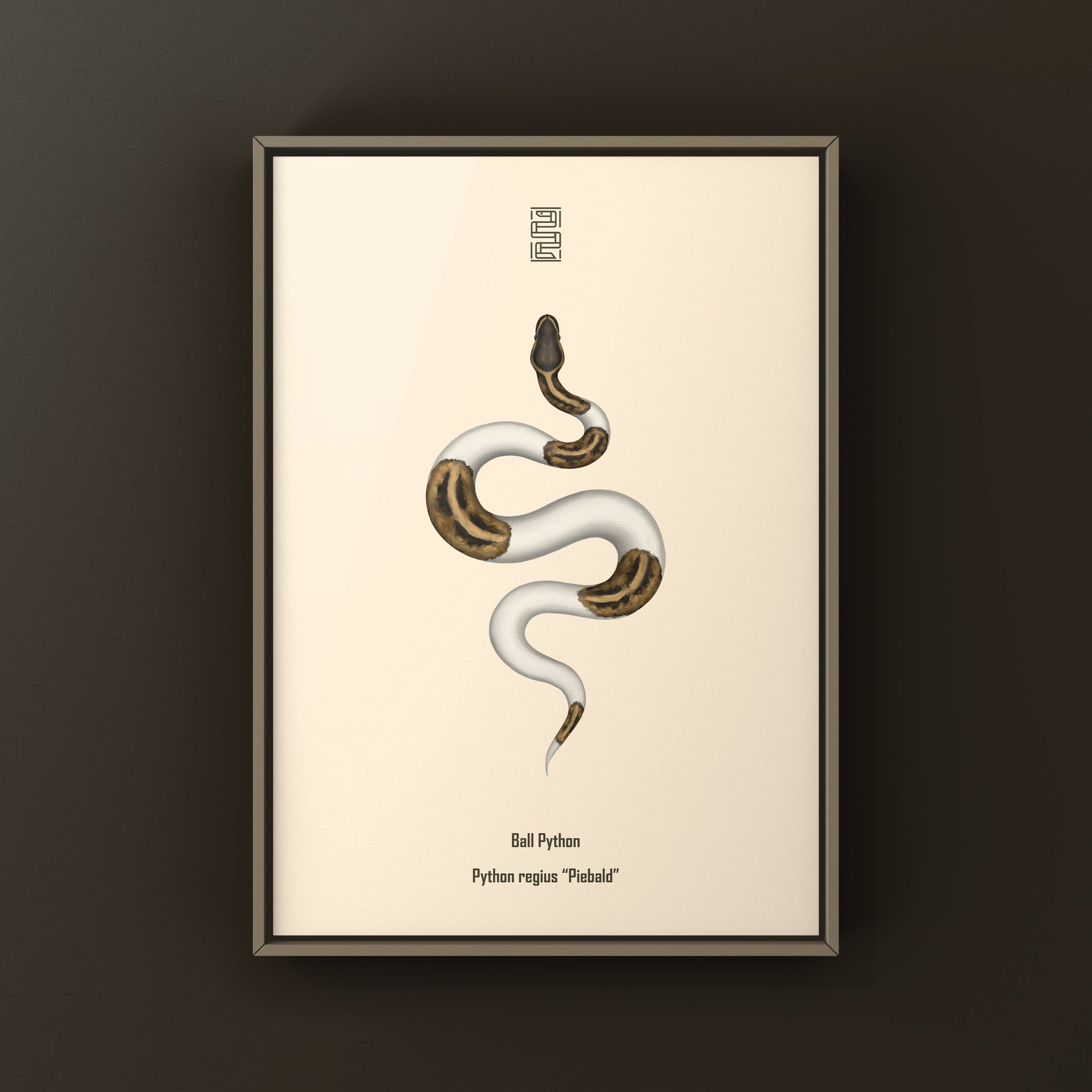 Pied Ball Python Art Print from The Silk Ranch