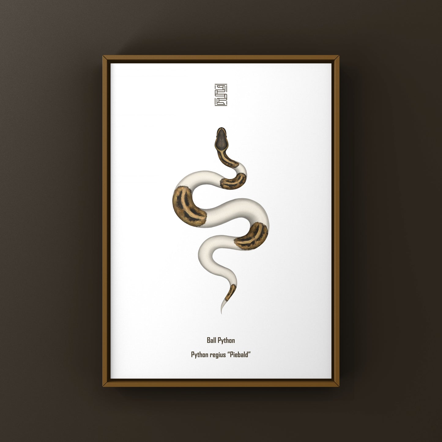 Pied Ball Python Art Print from The Silk Ranch