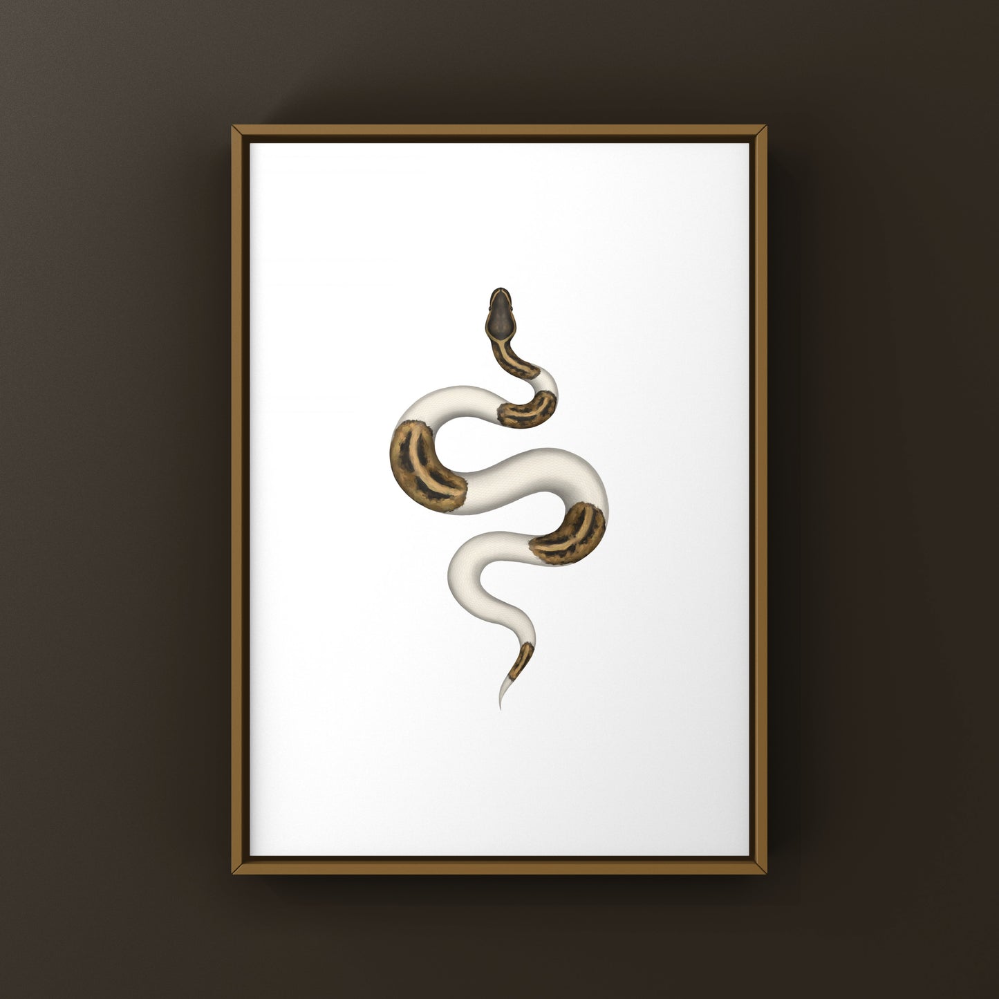 Pied Ball Python Art Print from The Silk Ranch