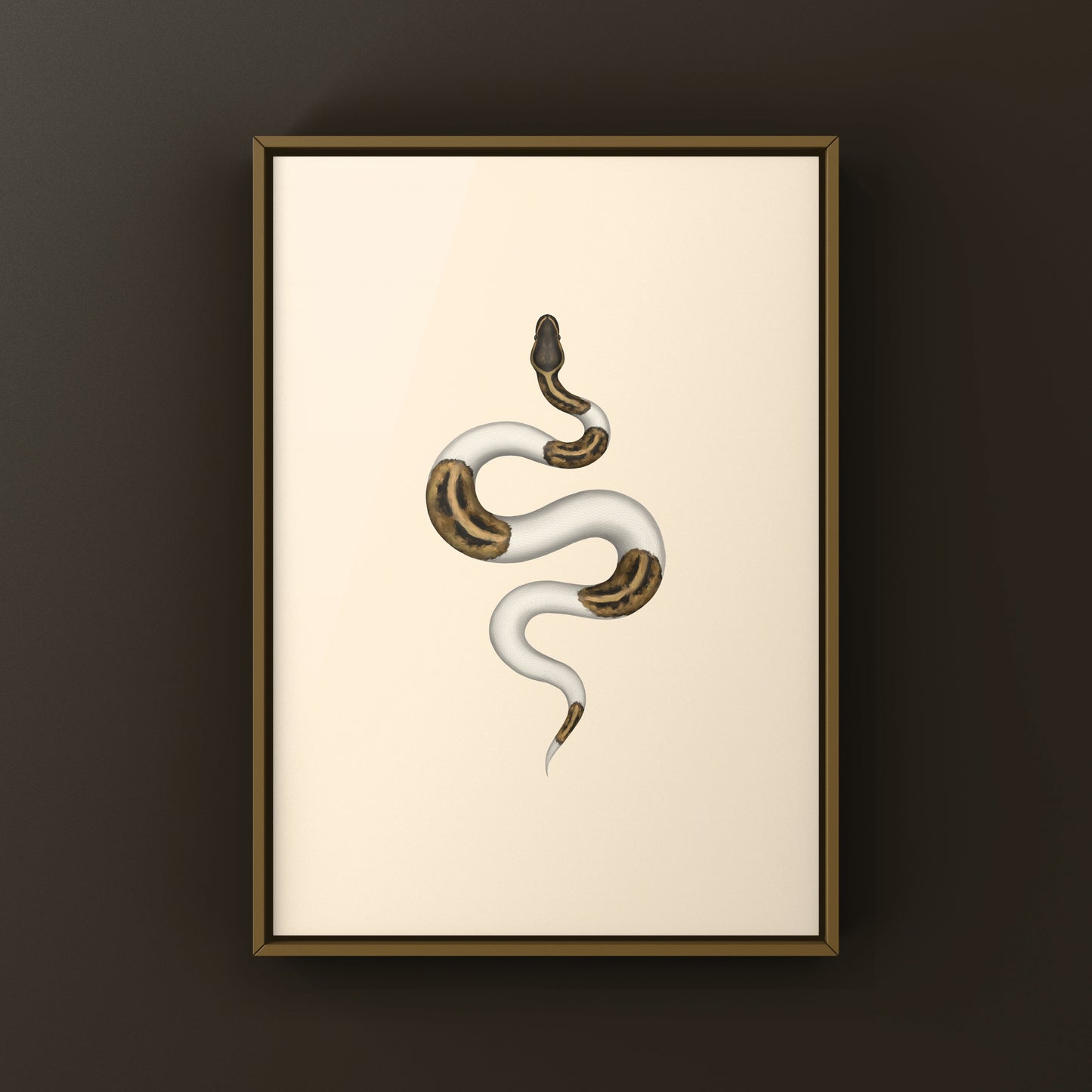 Pied Ball Python Art Print from The Silk Ranch