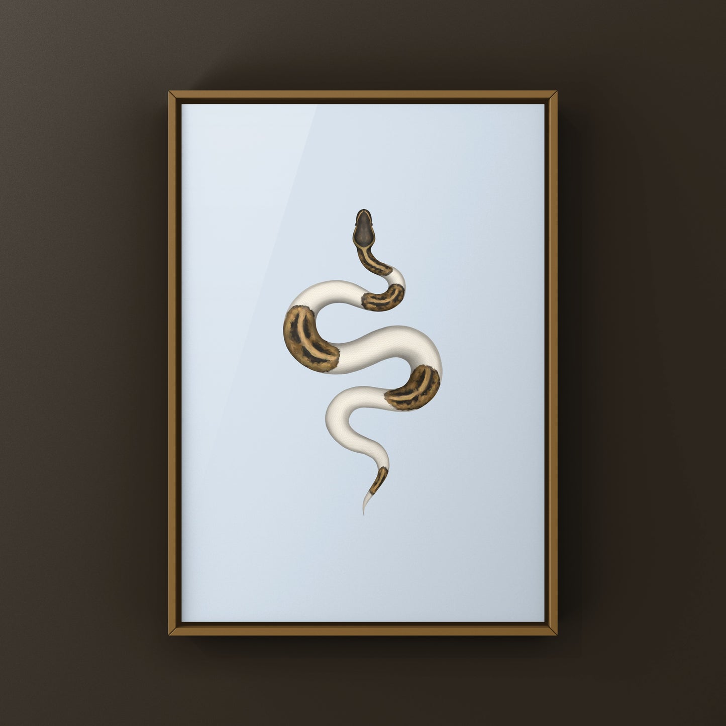 Pied Ball Python Art Print from The Silk Ranch