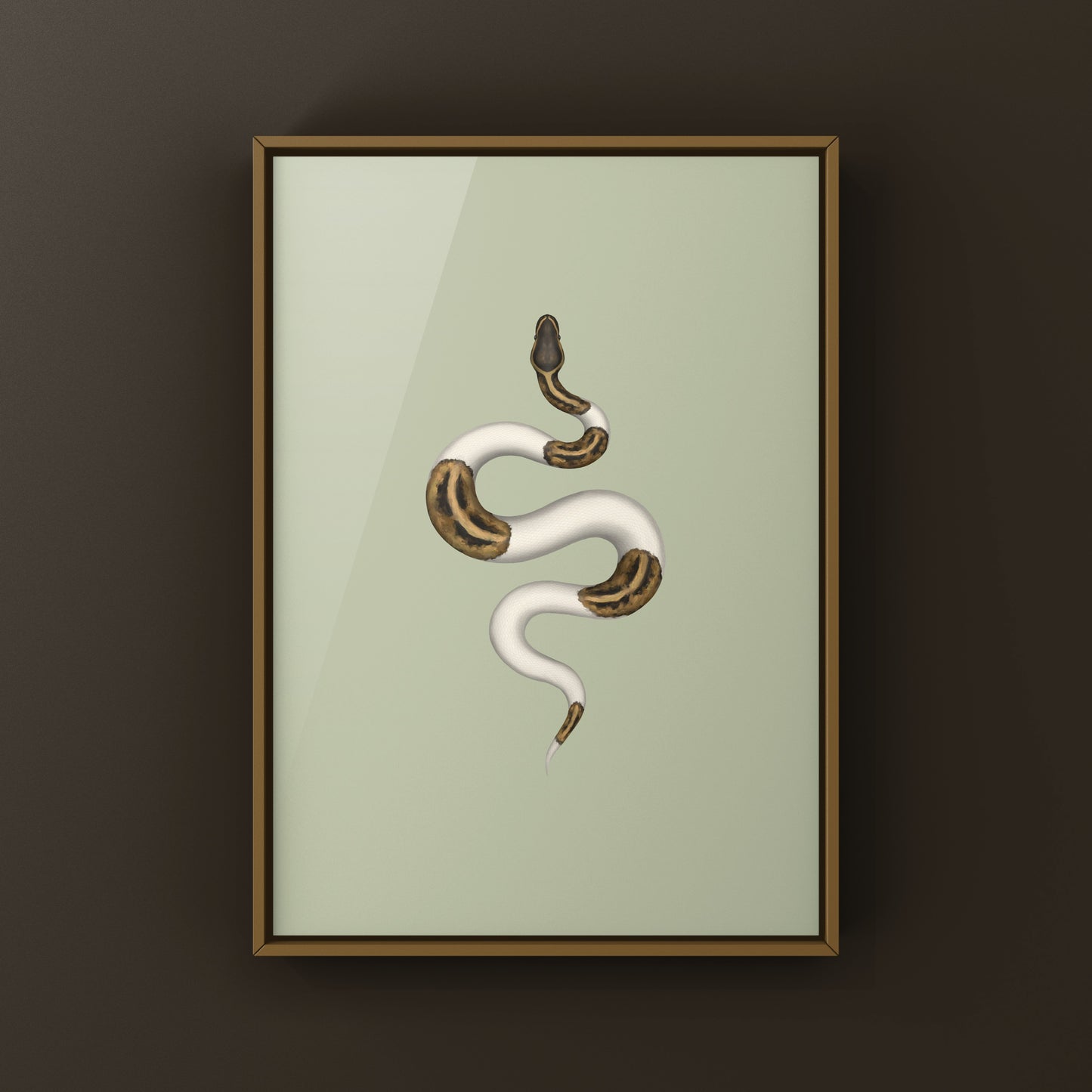 Pied Ball Python Art Print from The Silk Ranch