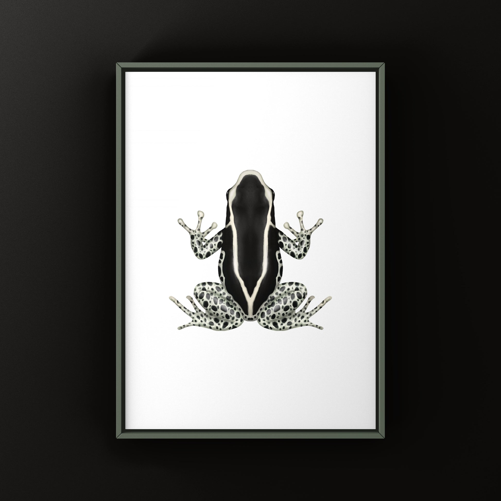 Vanessa Dyeing Poison Dart Frog (Dendrobates tinctorius) Art Print from The Silk Ranch
