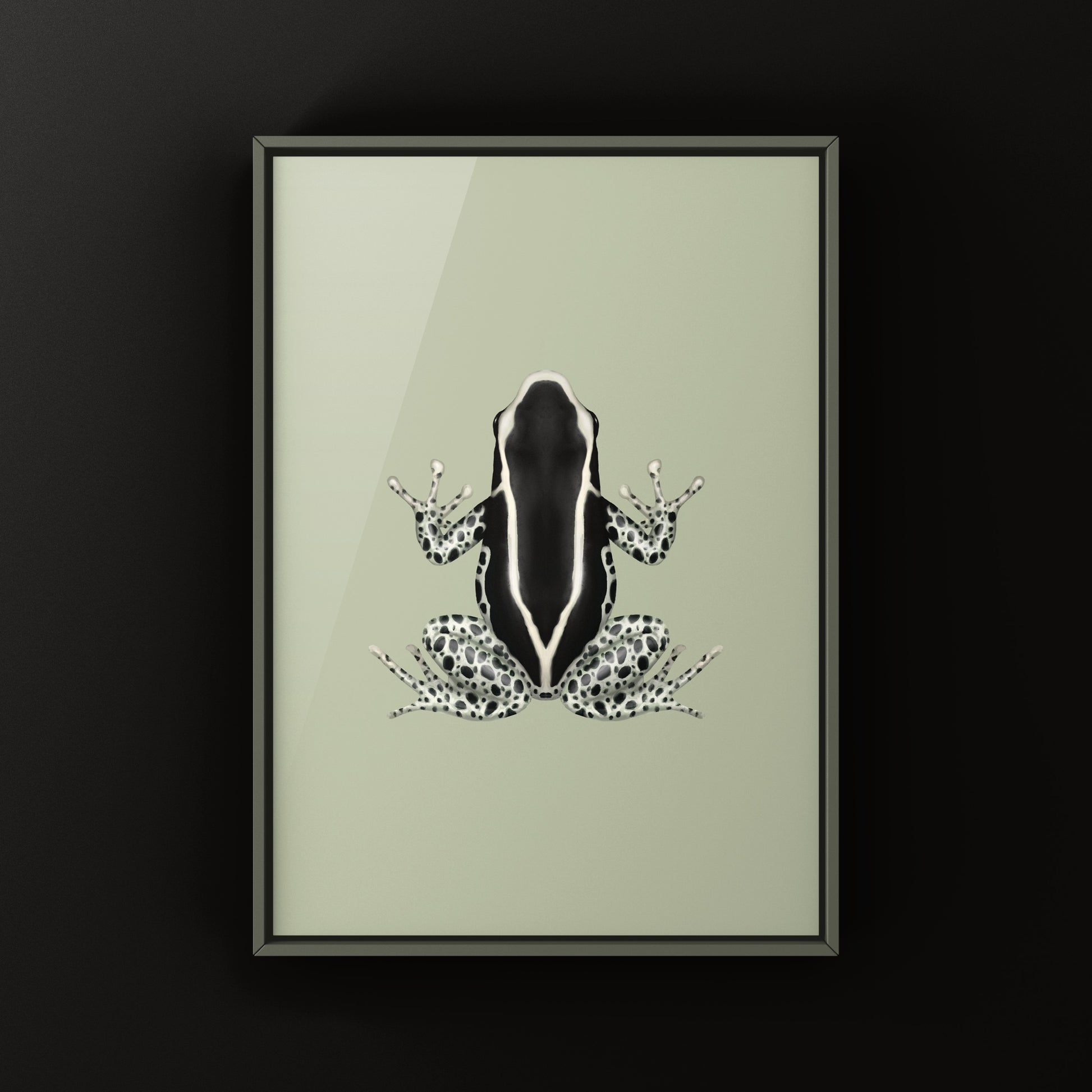 Vanessa Dyeing Poison Dart Frog (Dendrobates tinctorius) Art Print from The Silk Ranch