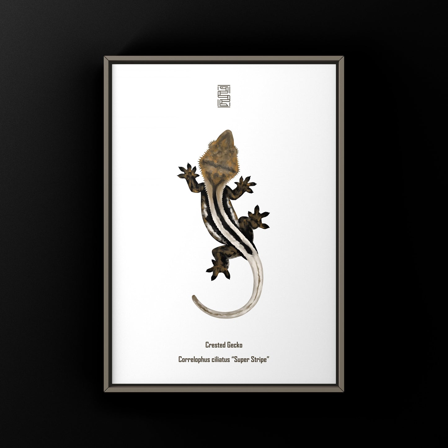 Super Stripe Crested Gecko Photographic Art Print from The Silk Ranch