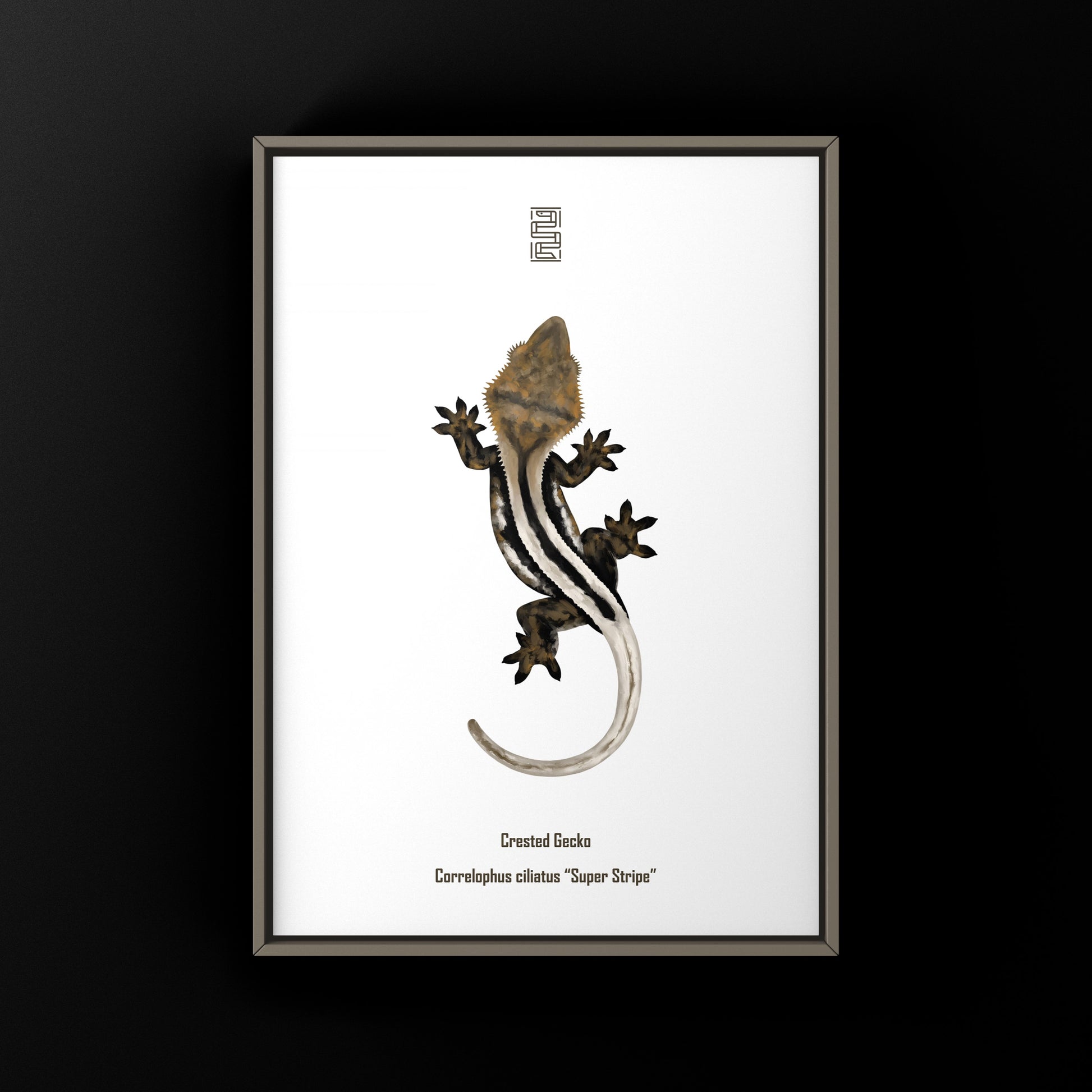 Super Stripe Crested Gecko Photographic Art Print from The Silk Ranch