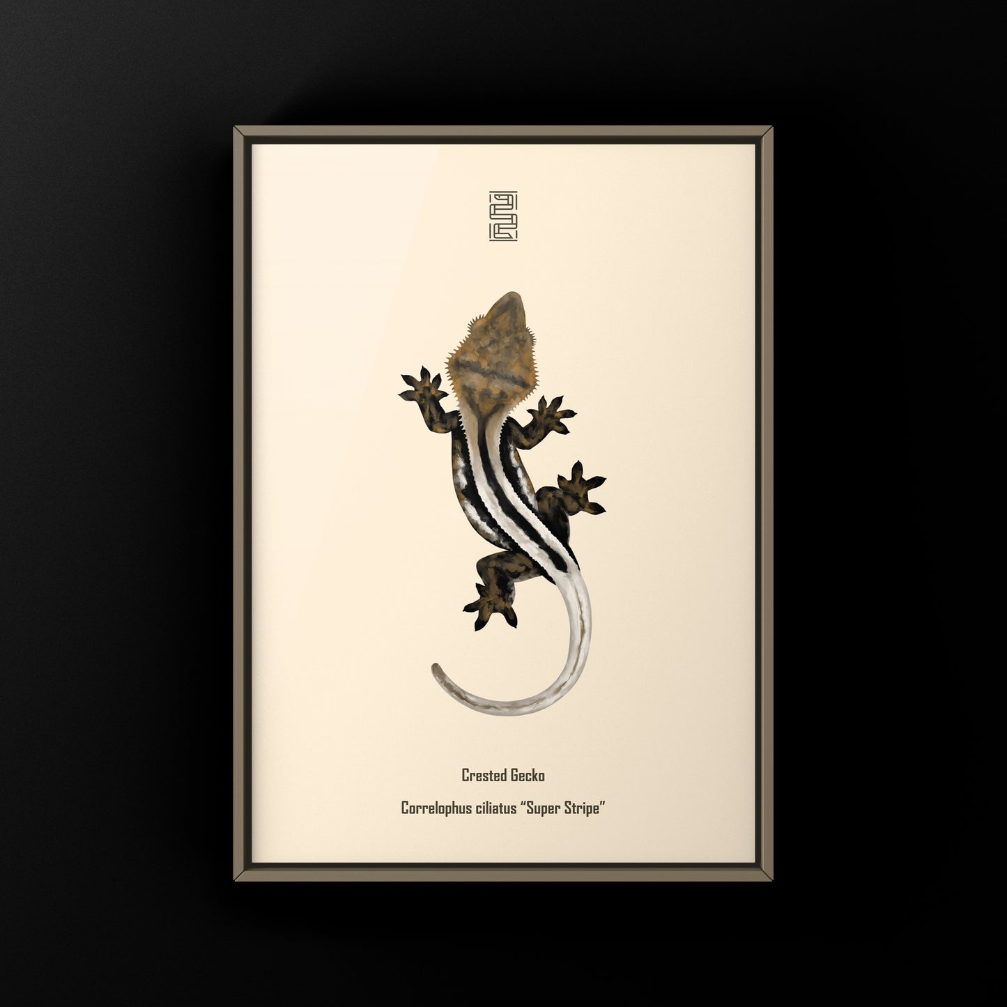 Super Stripe Crested Gecko Photographic Art Print from The Silk Ranch